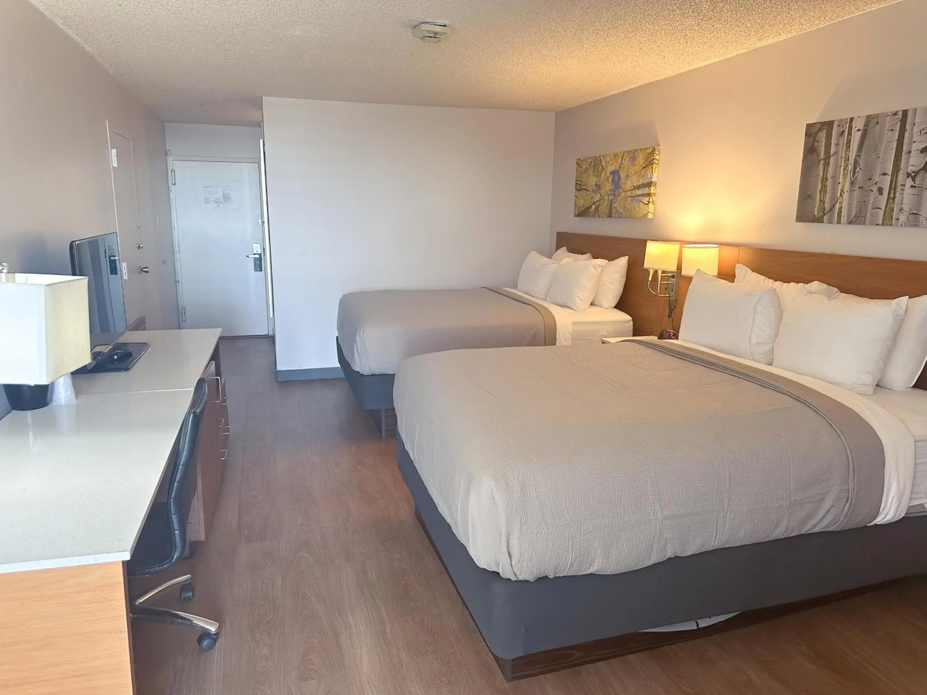 Bedroom, Bed in Quality Inn & Suites Fort Collins East Bedroom, Bed in Quality Inn & Suites Fort Collins East