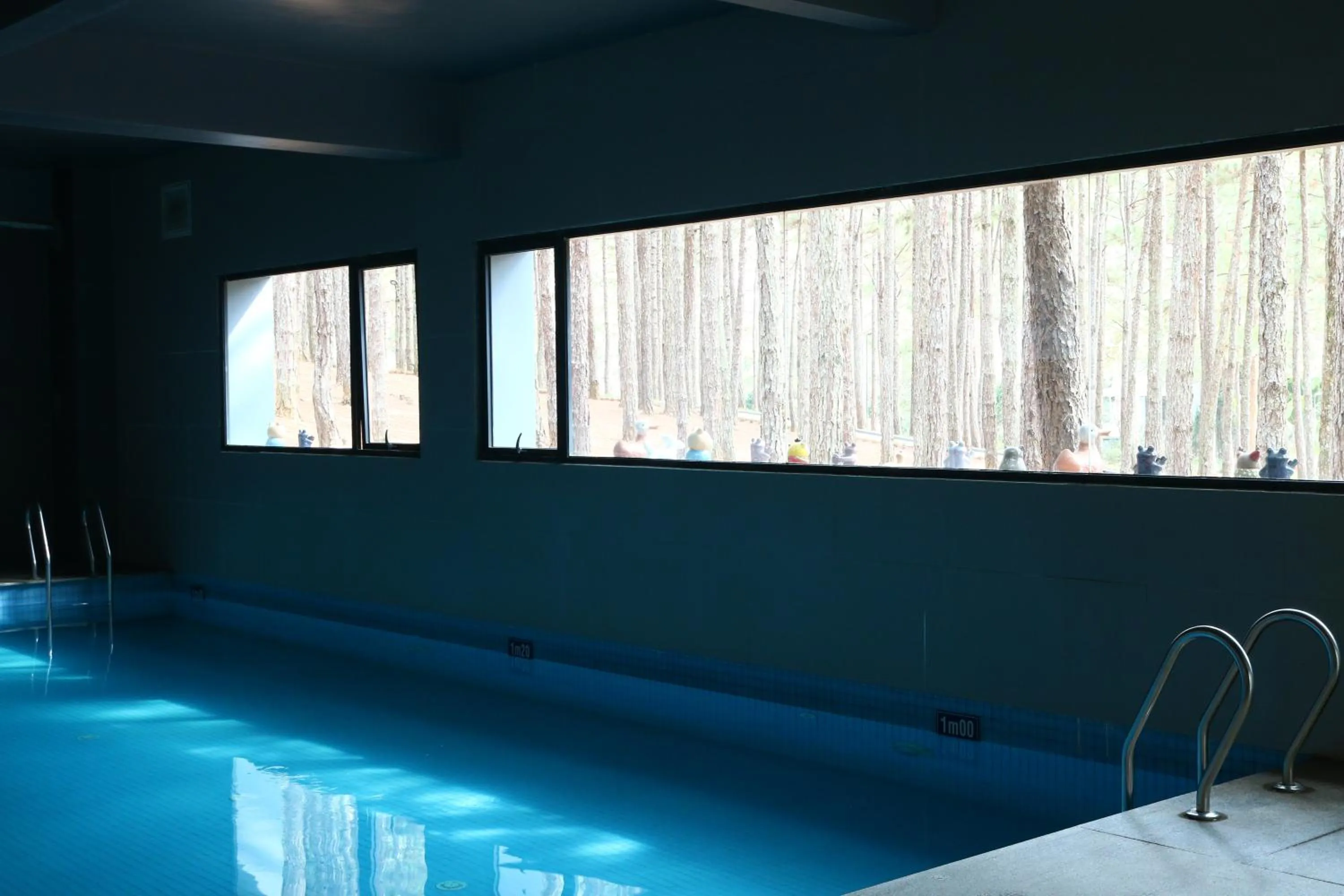 Swimming pool in Terracotta Hotel & Resort Dalat