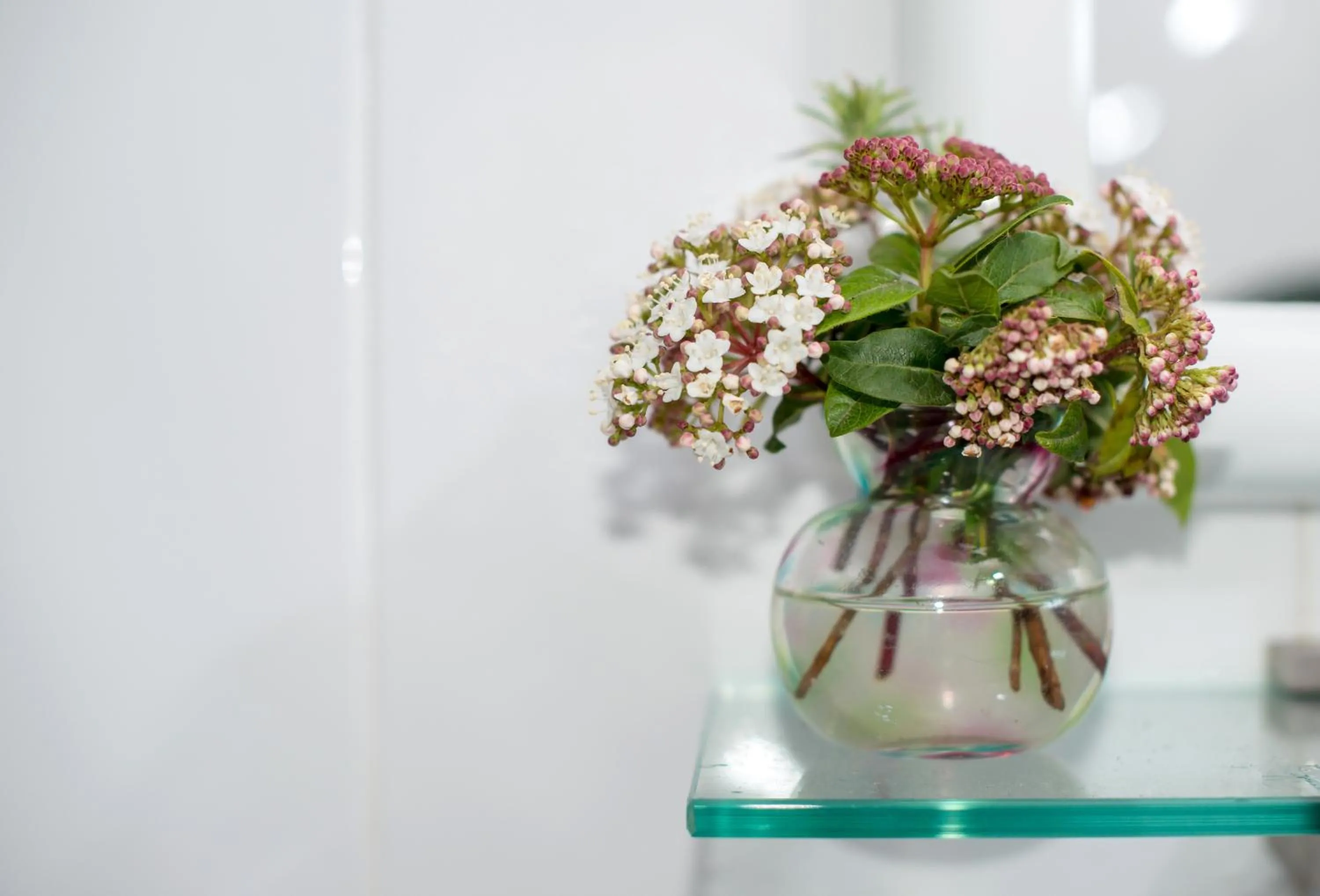 Decorative detail in River Ebro Holidays