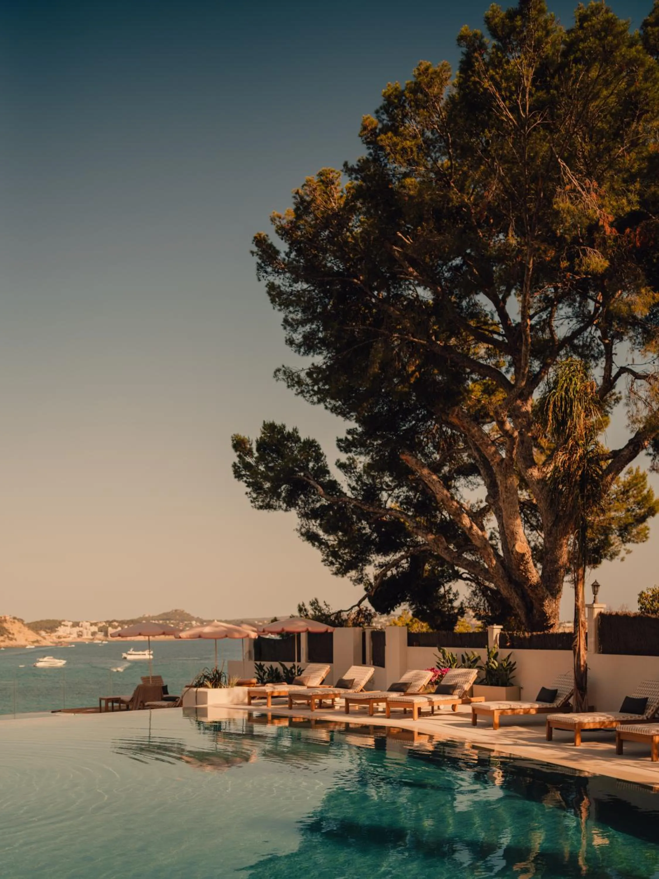 Pool view in Aethos Hotel Mallorca