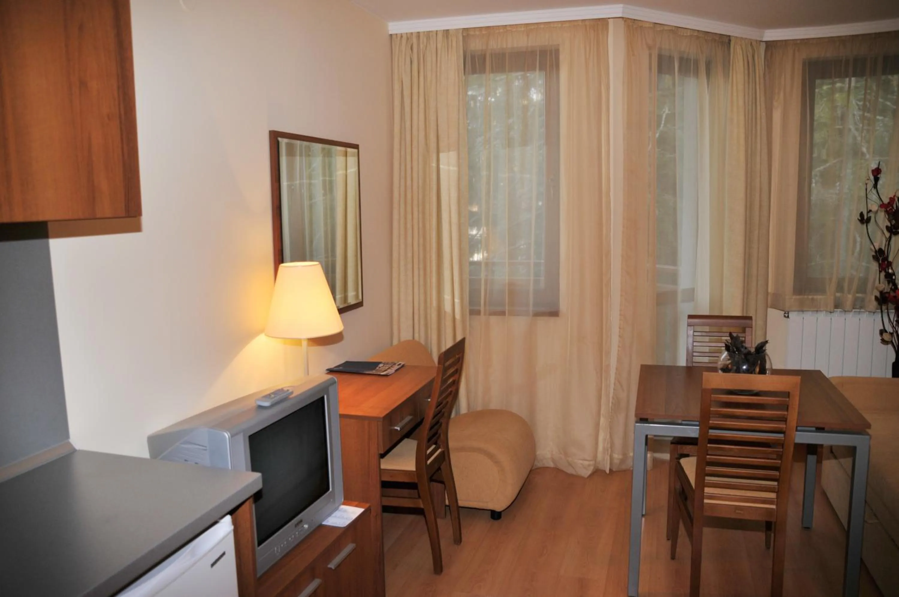 TV and multimedia in Villa Park Guest Apartments