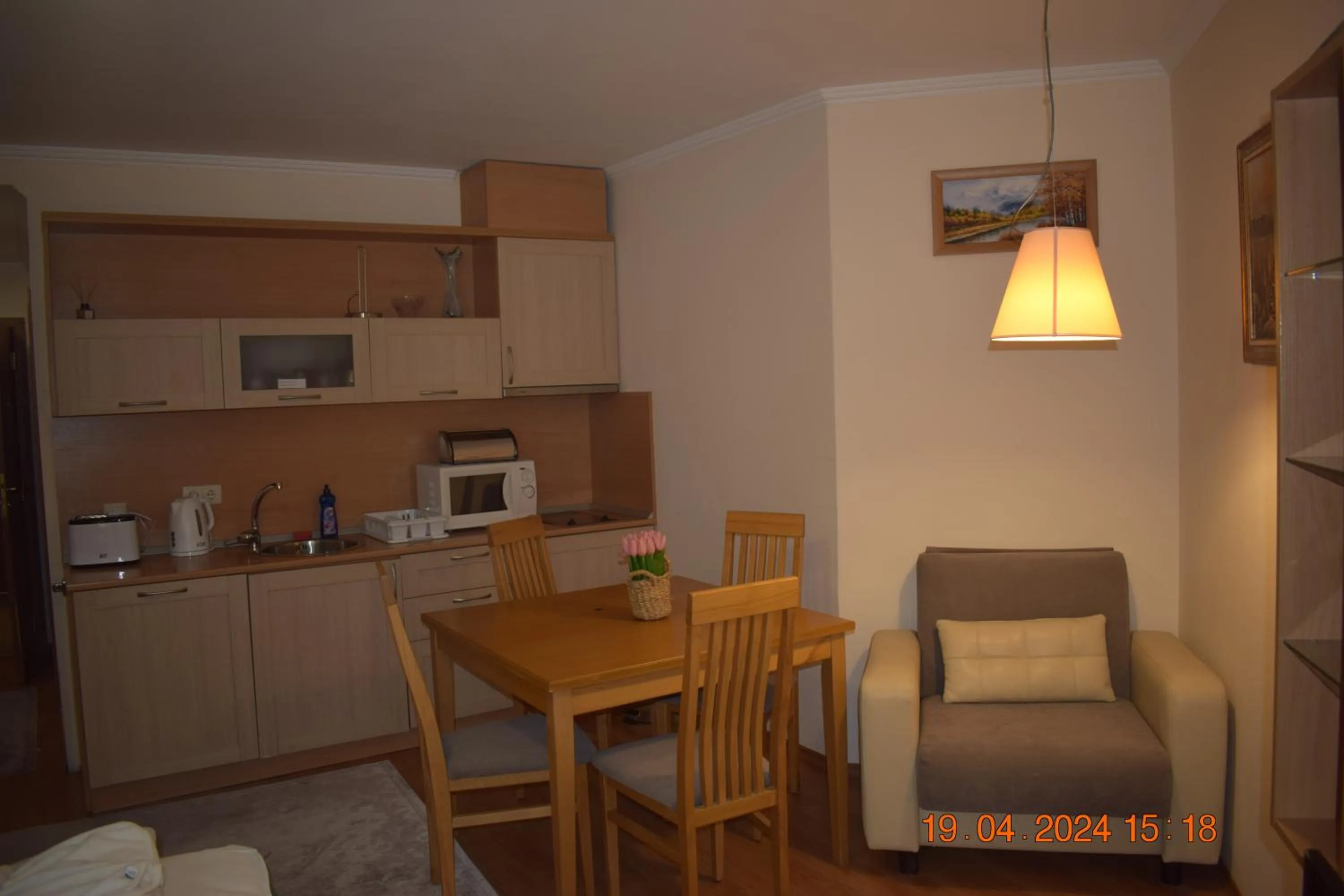 Villa Park Guest Apartments