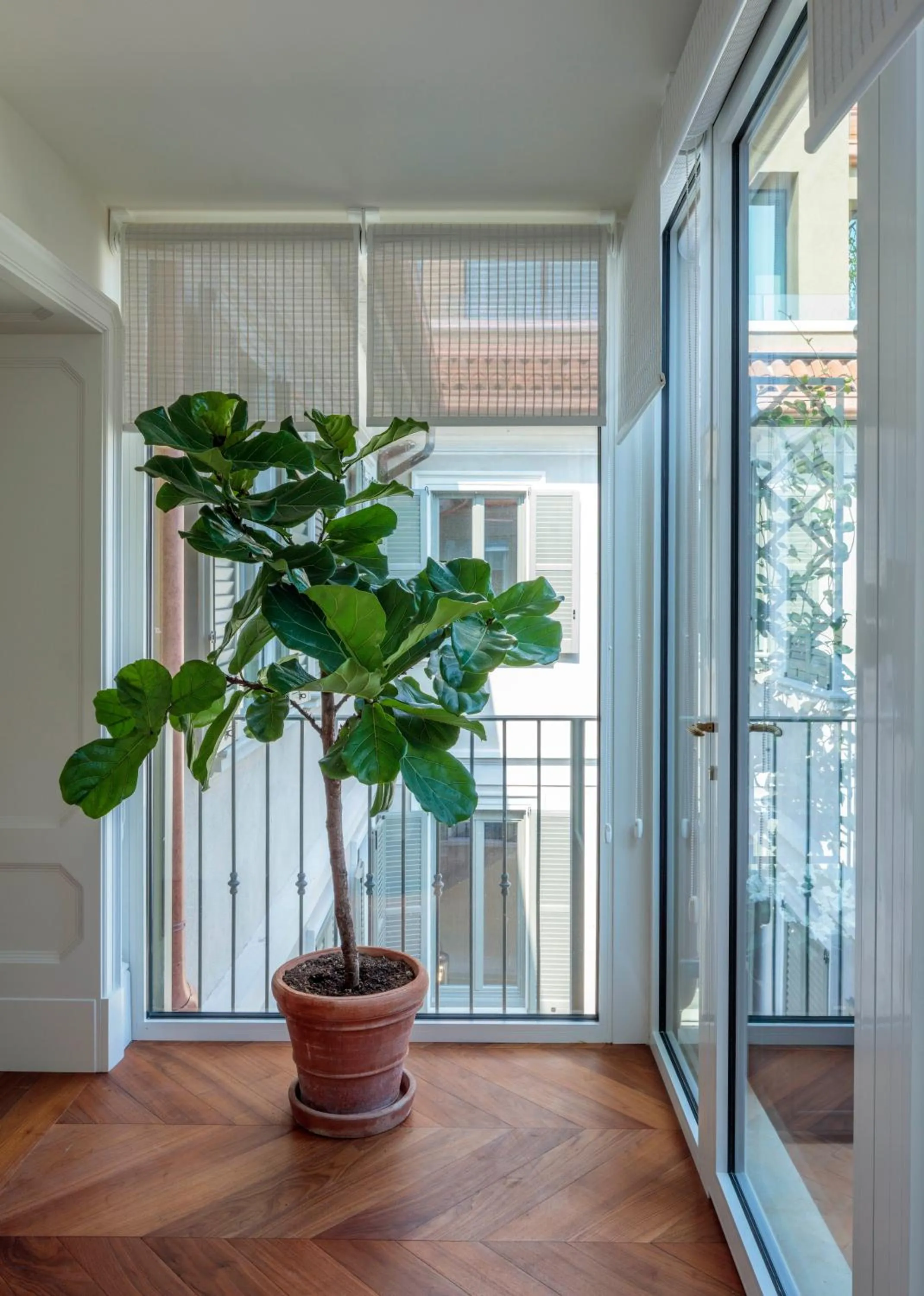 Balcony/Terrace in Rocco Forte House Via Manzoni Milan