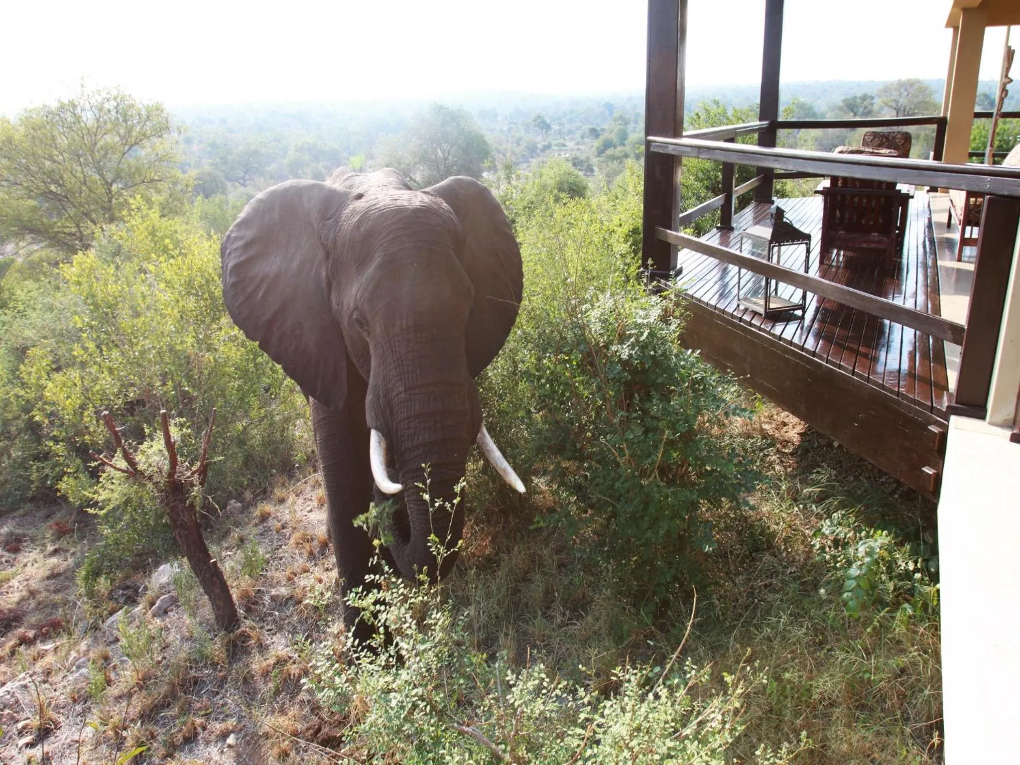 Activities in Makumu Private Game Lodge