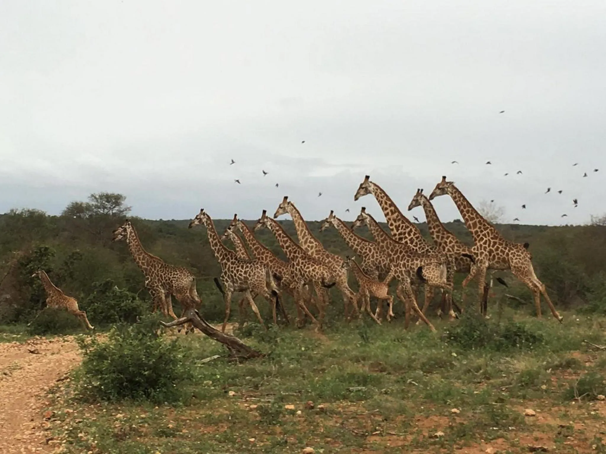 Natural landscape in Makumu Private Game Lodge