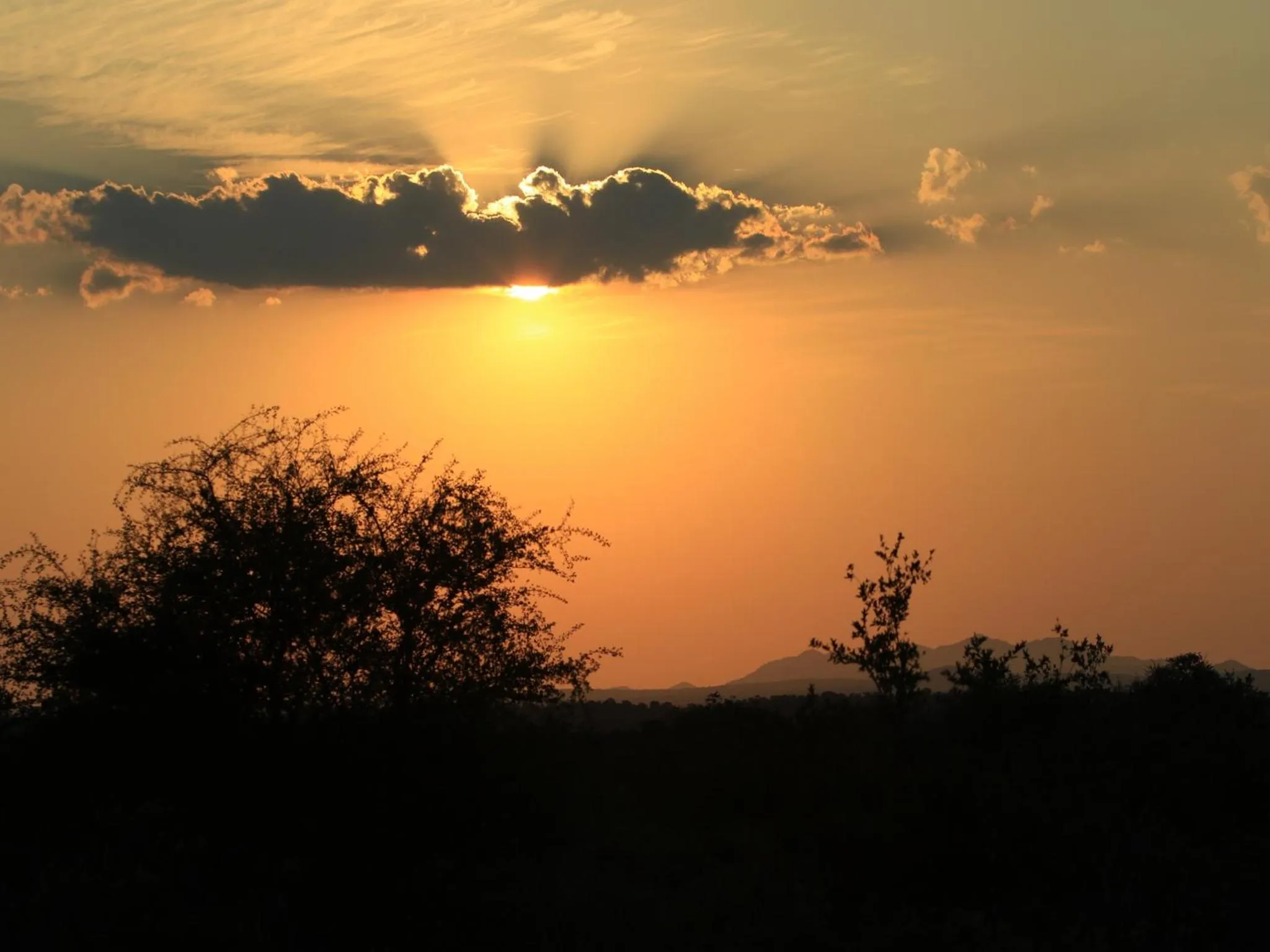 View (from property/room) in Makumu Private Game Lodge