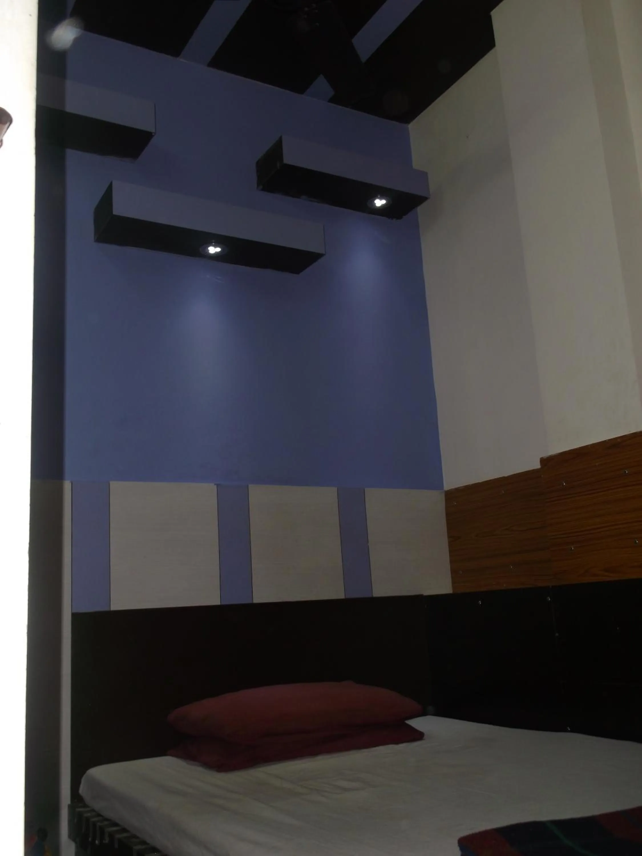 Night in Hotel Abhineet Palace