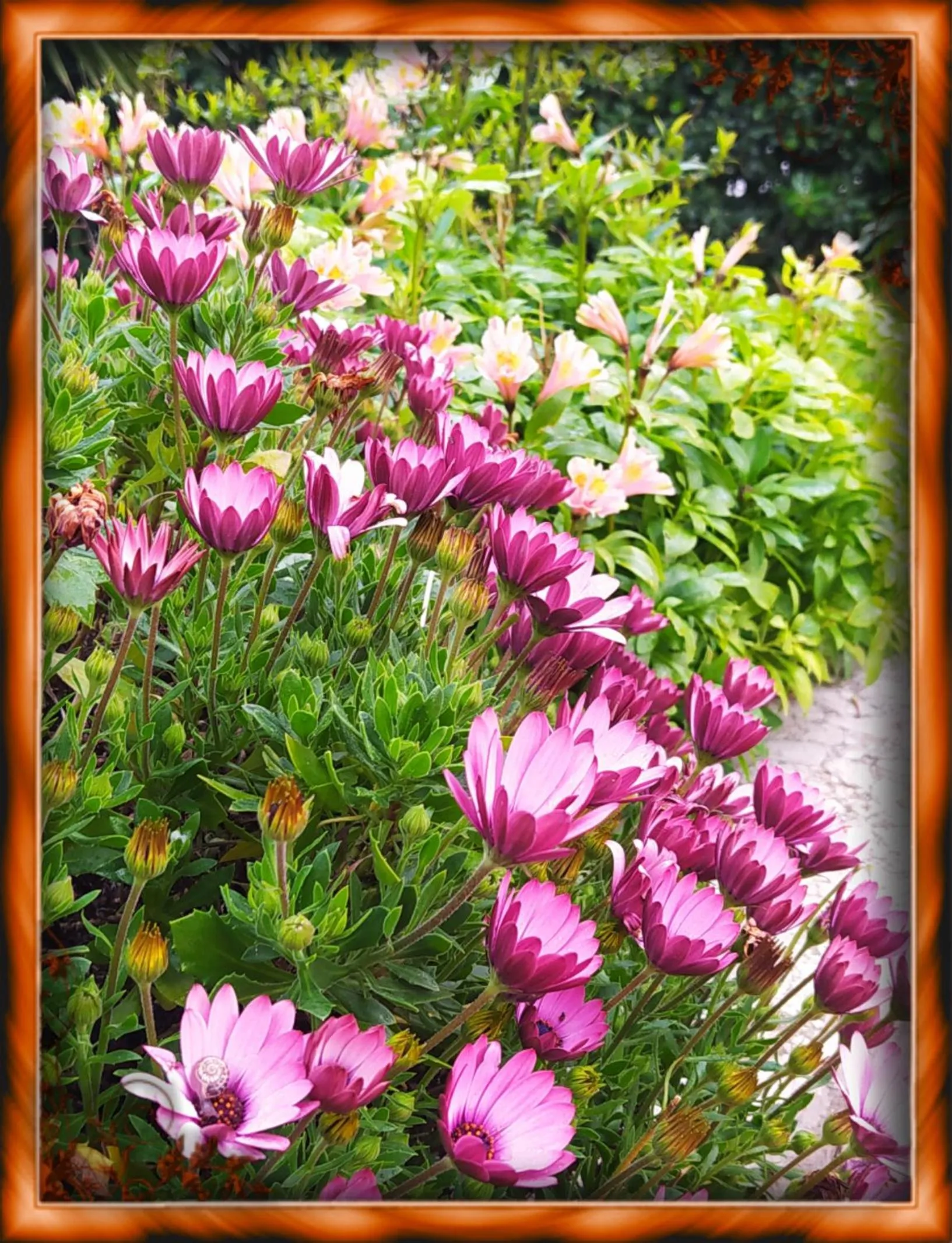 Garden in Camere "Riviera di Ulisse"