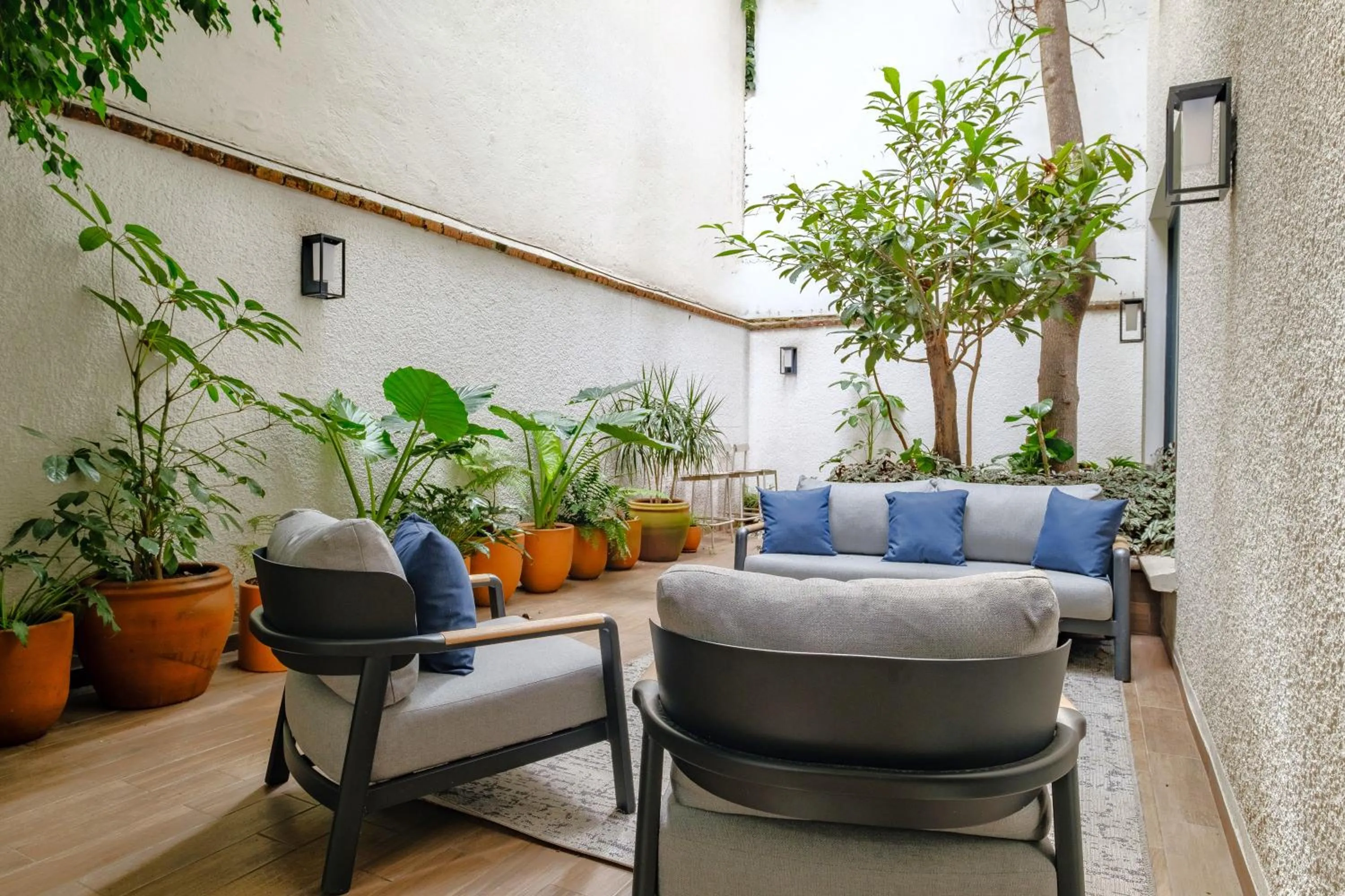 Patio in District Polanco by Lumina