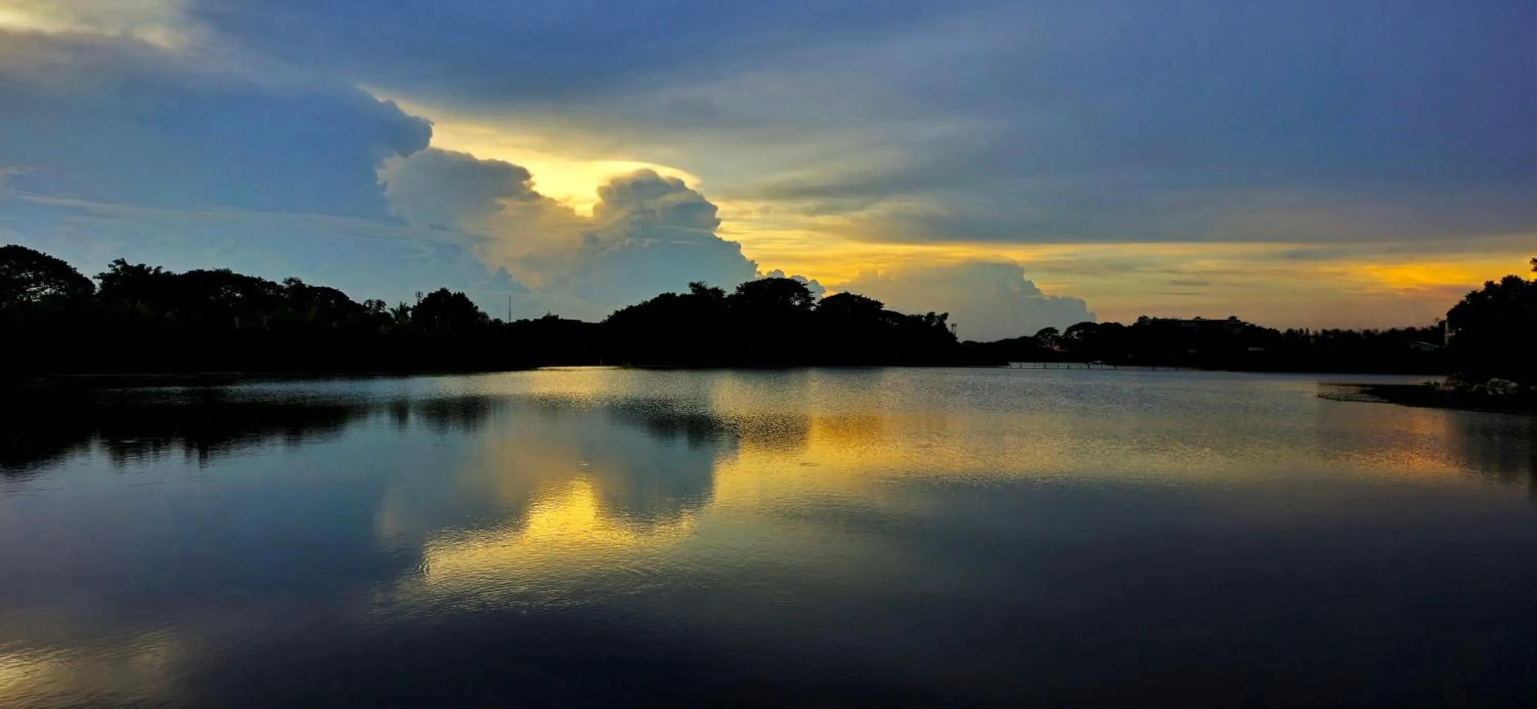Garden in Tiny Island Lake Lodge