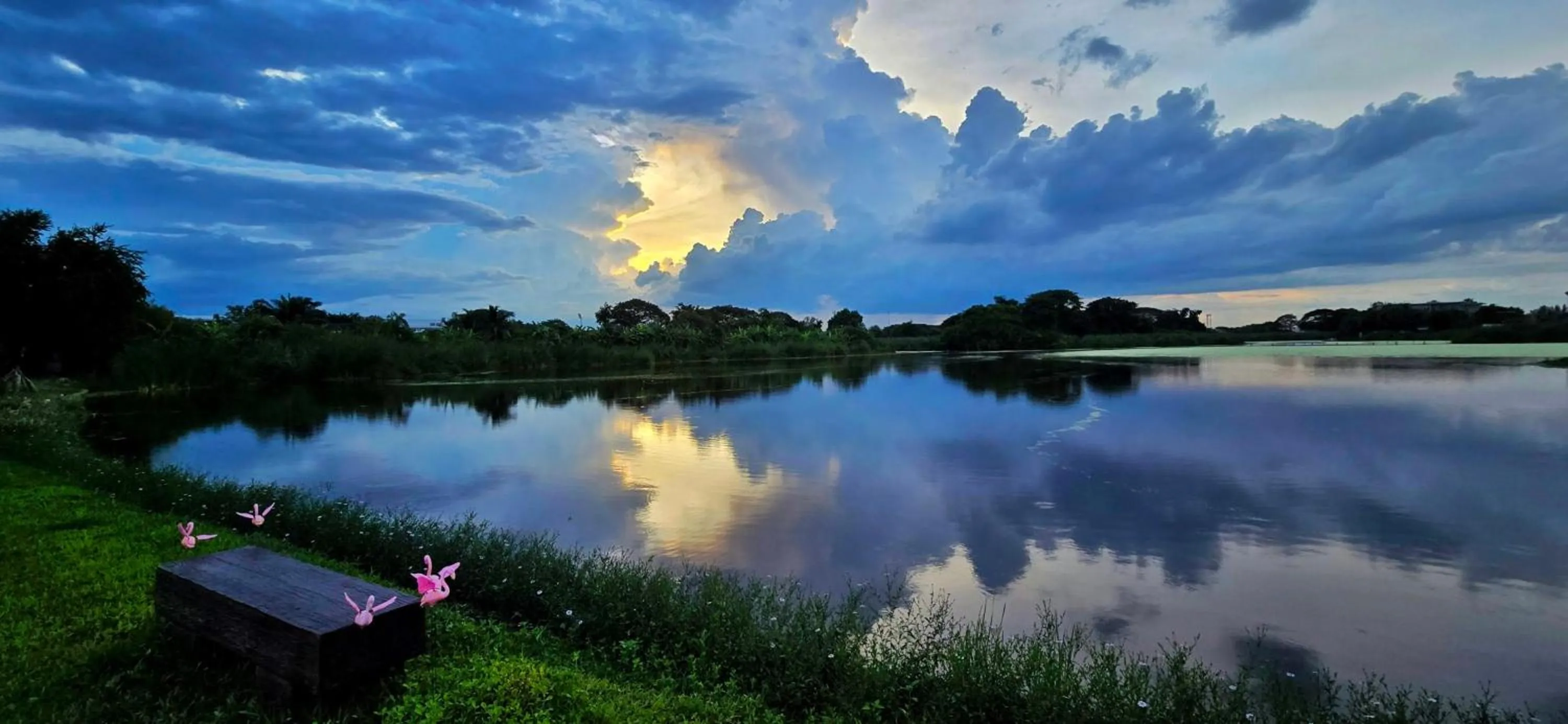 Garden in Tiny Island Lake Lodge