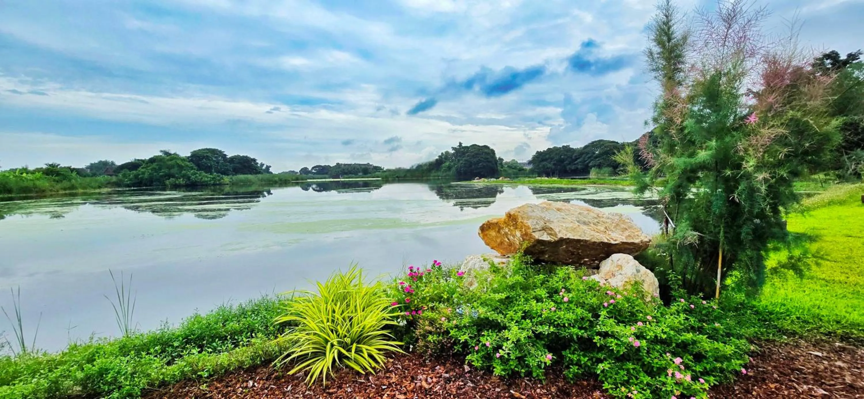Garden in Tiny Island Lake Lodge