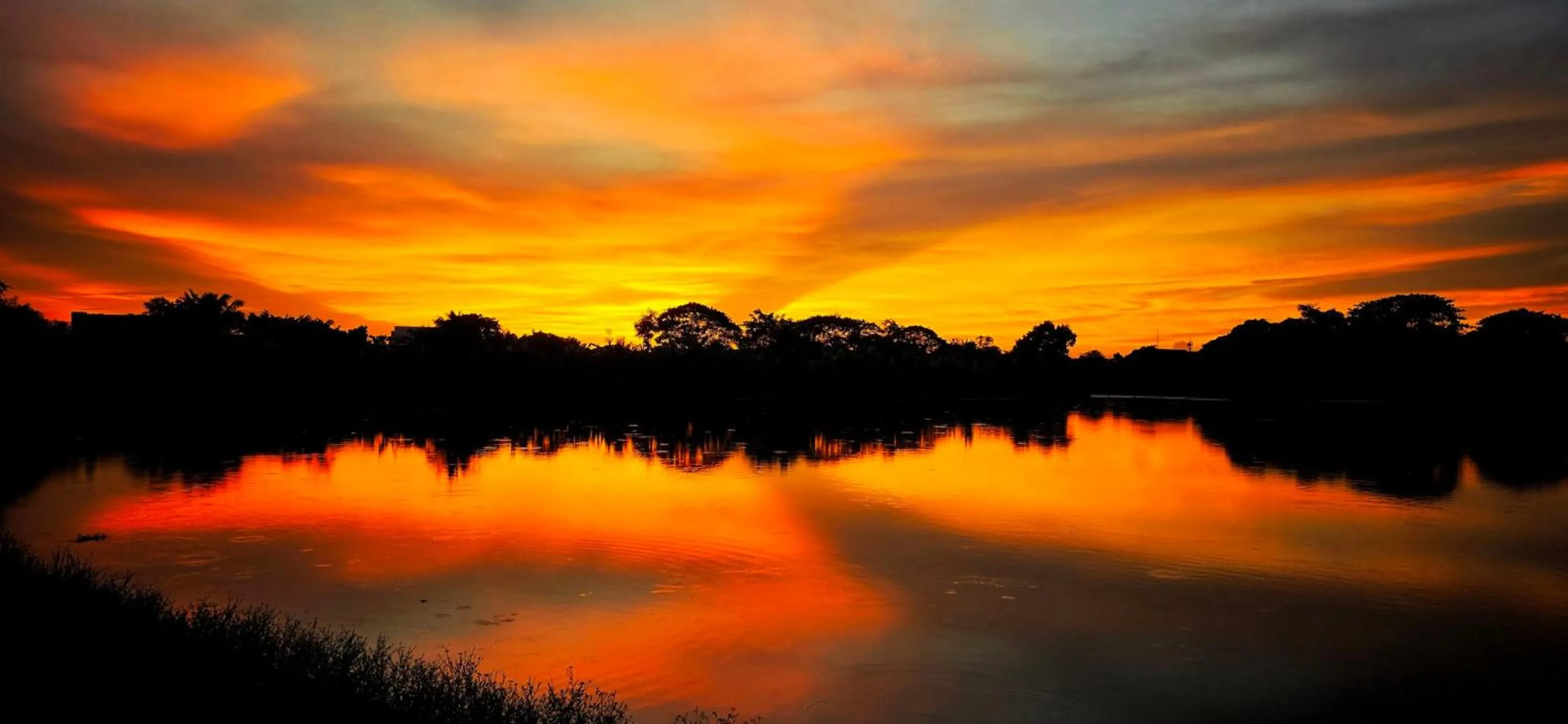 Garden in Tiny Island Lake Lodge