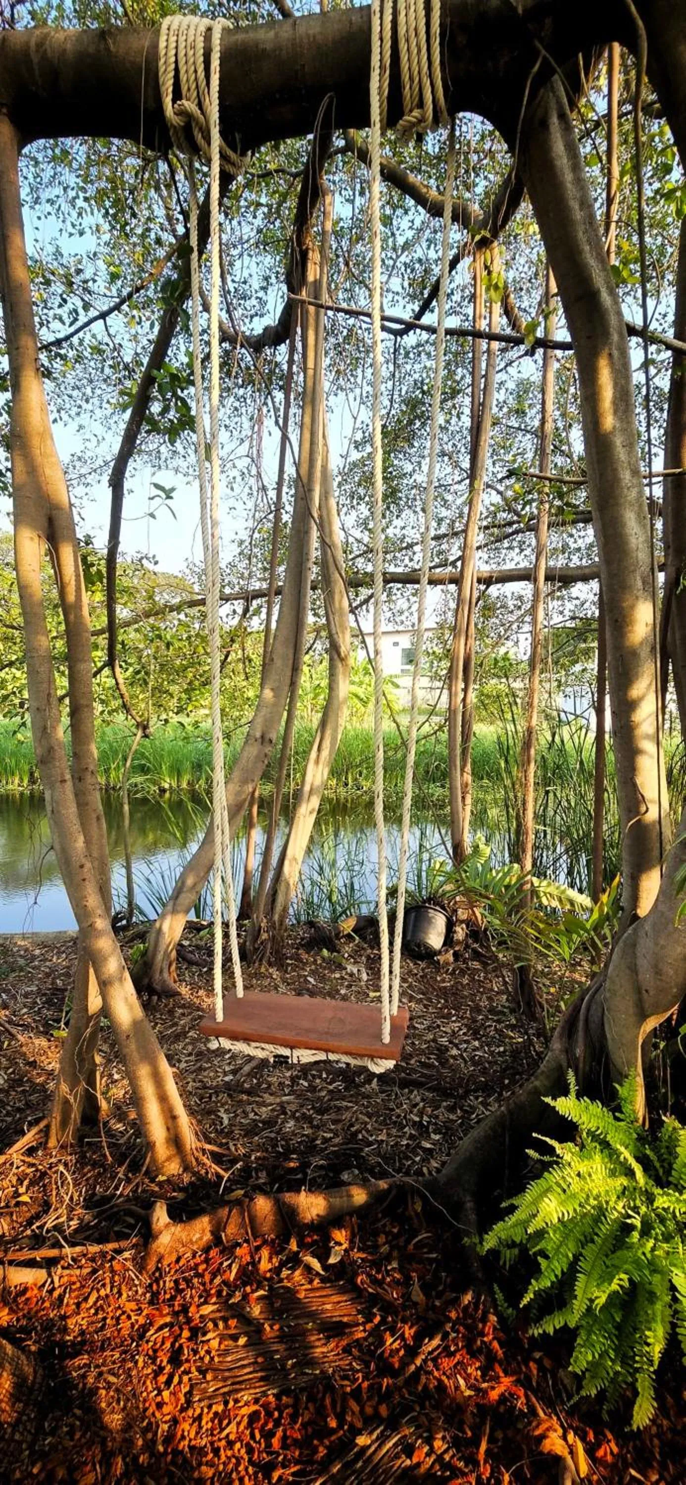 Garden in Tiny Island Lake Lodge