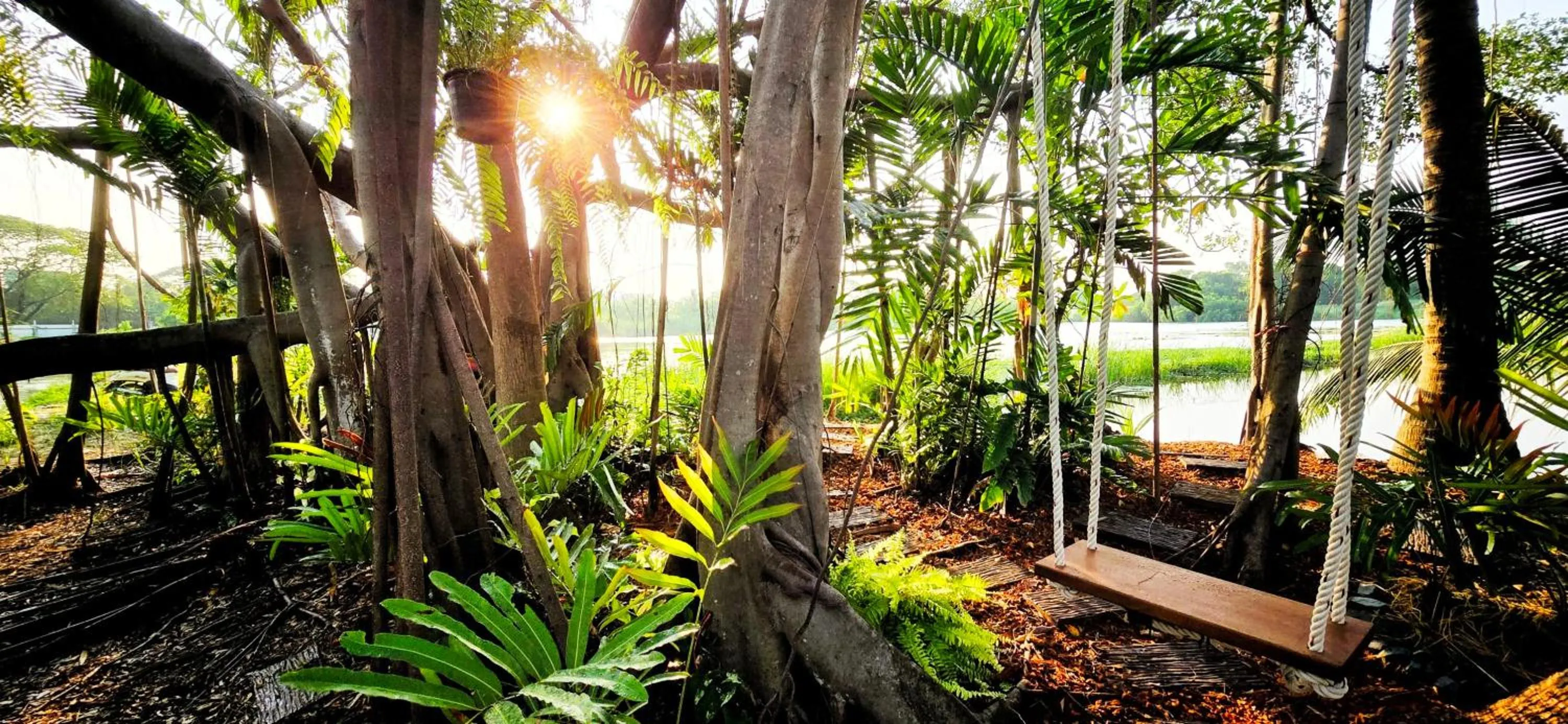 Garden in Tiny Island Lake Lodge