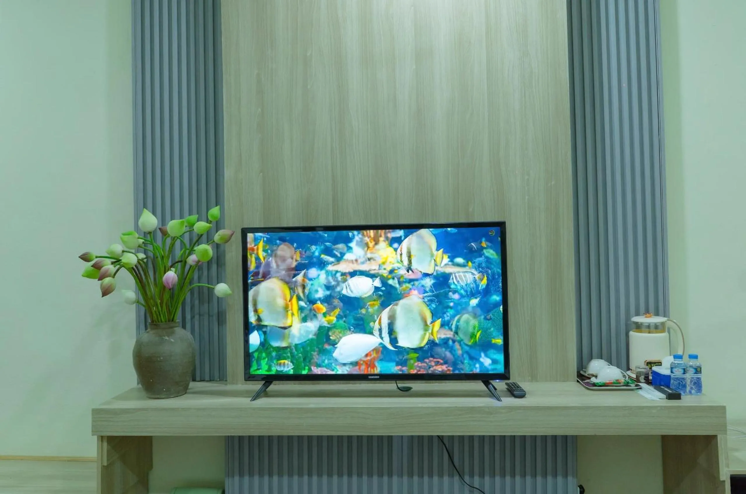 TV and multimedia in Peaceful Hotel