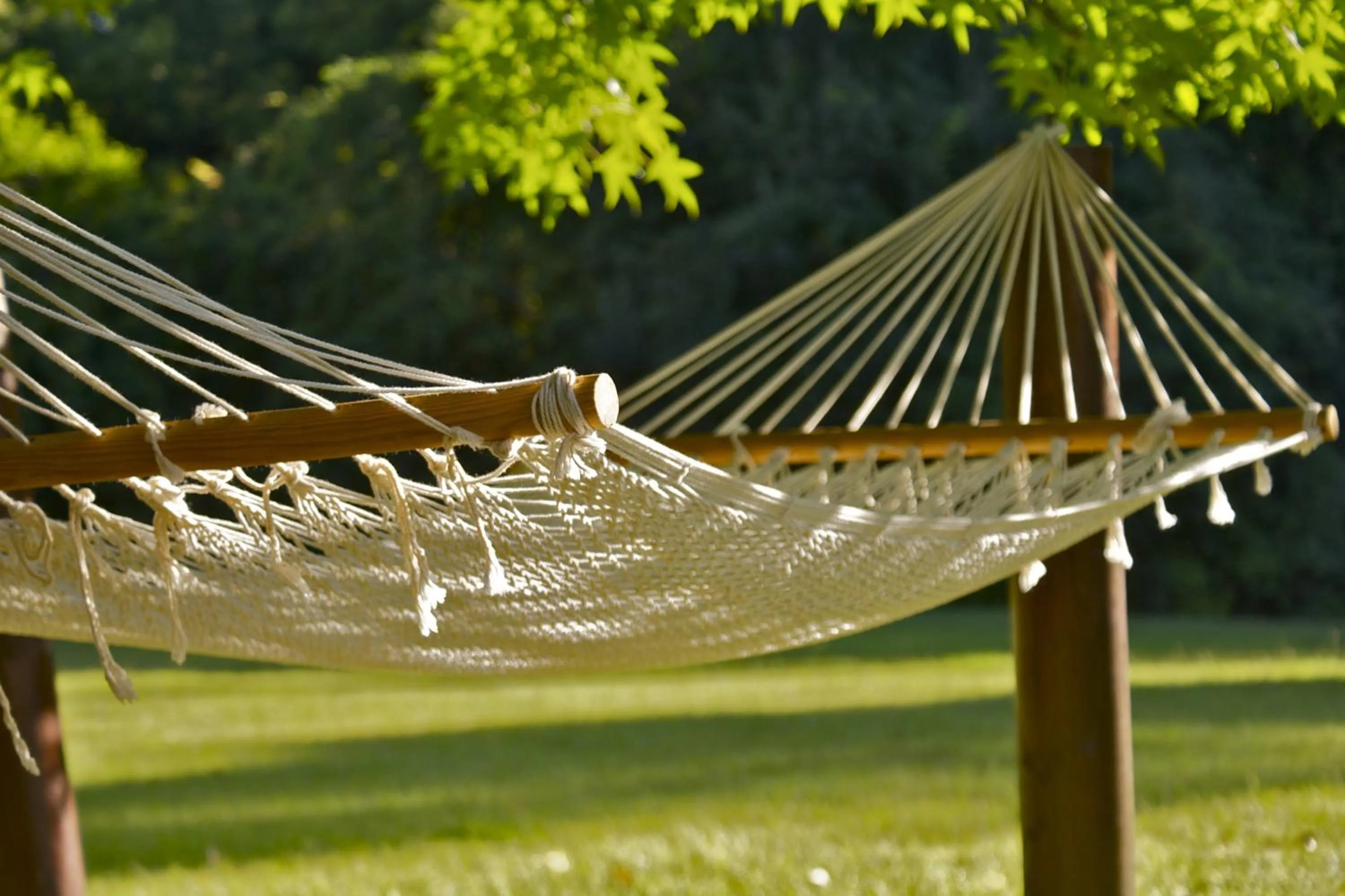 Garden view in Edenbrook Country Manor