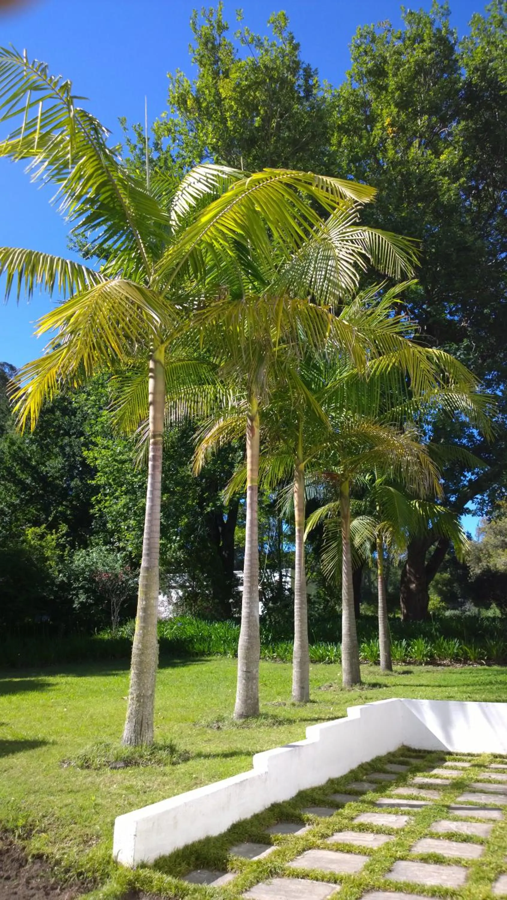 Garden in Edenbrook Country Manor