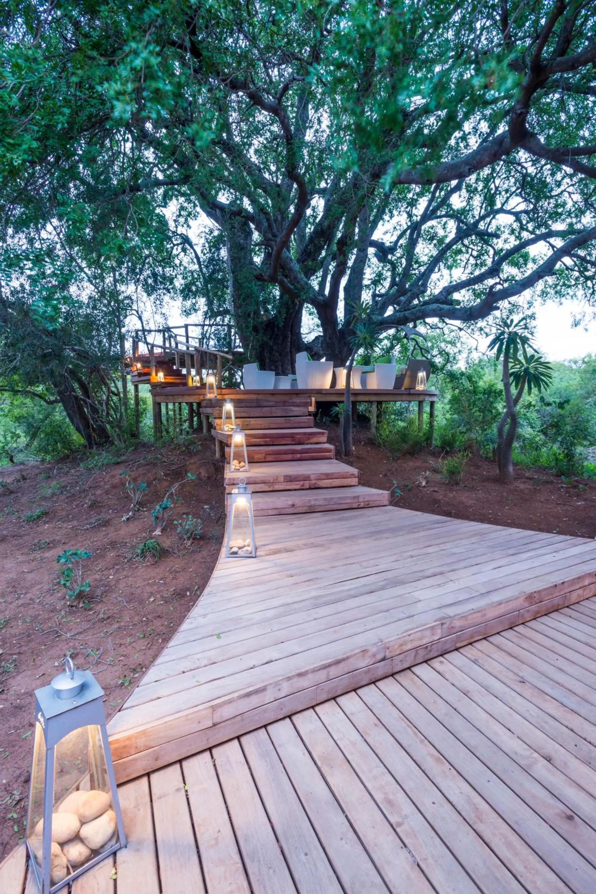 Garden in AM Lodge - Hoedspruit