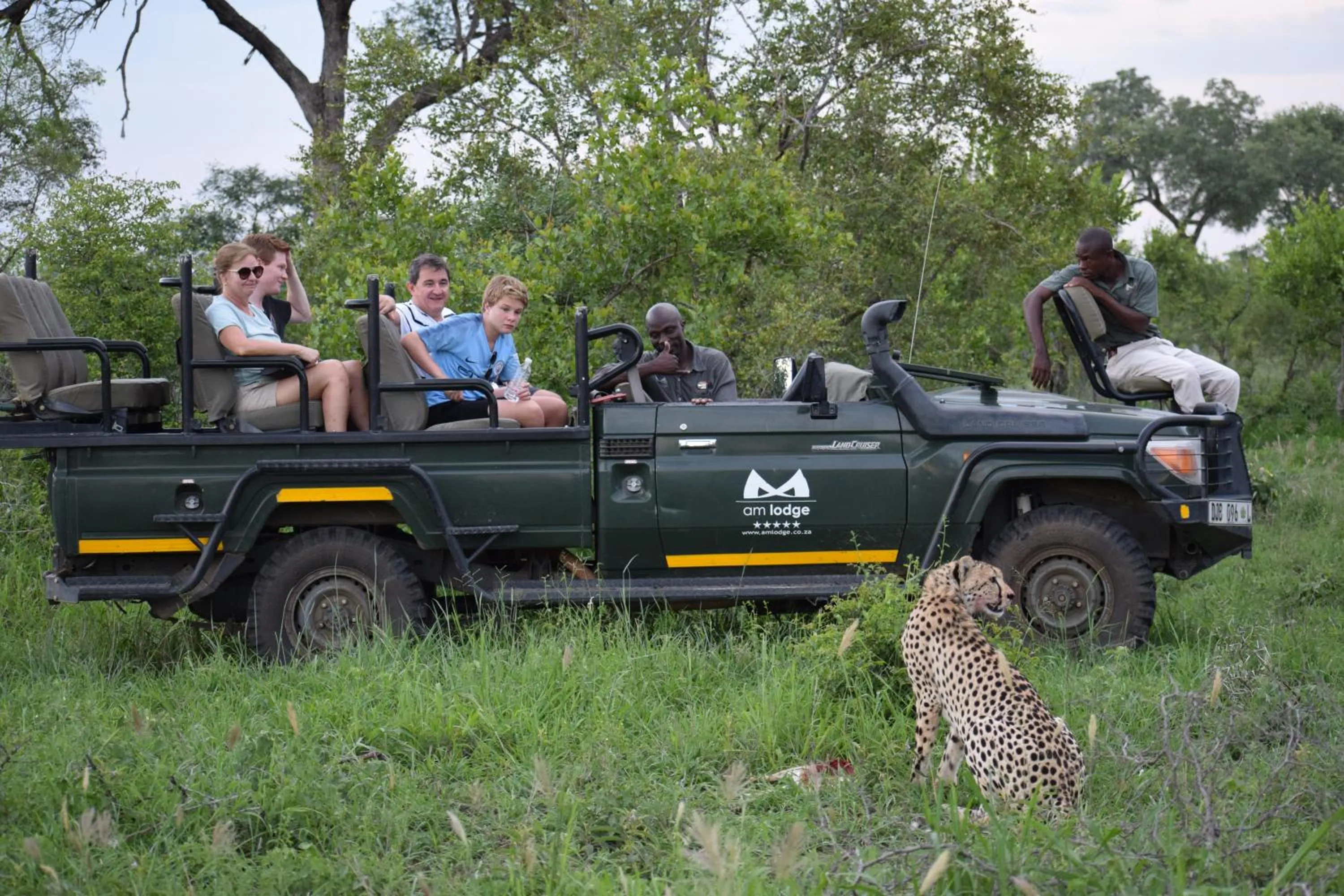 Activities in AM Lodge - Hoedspruit