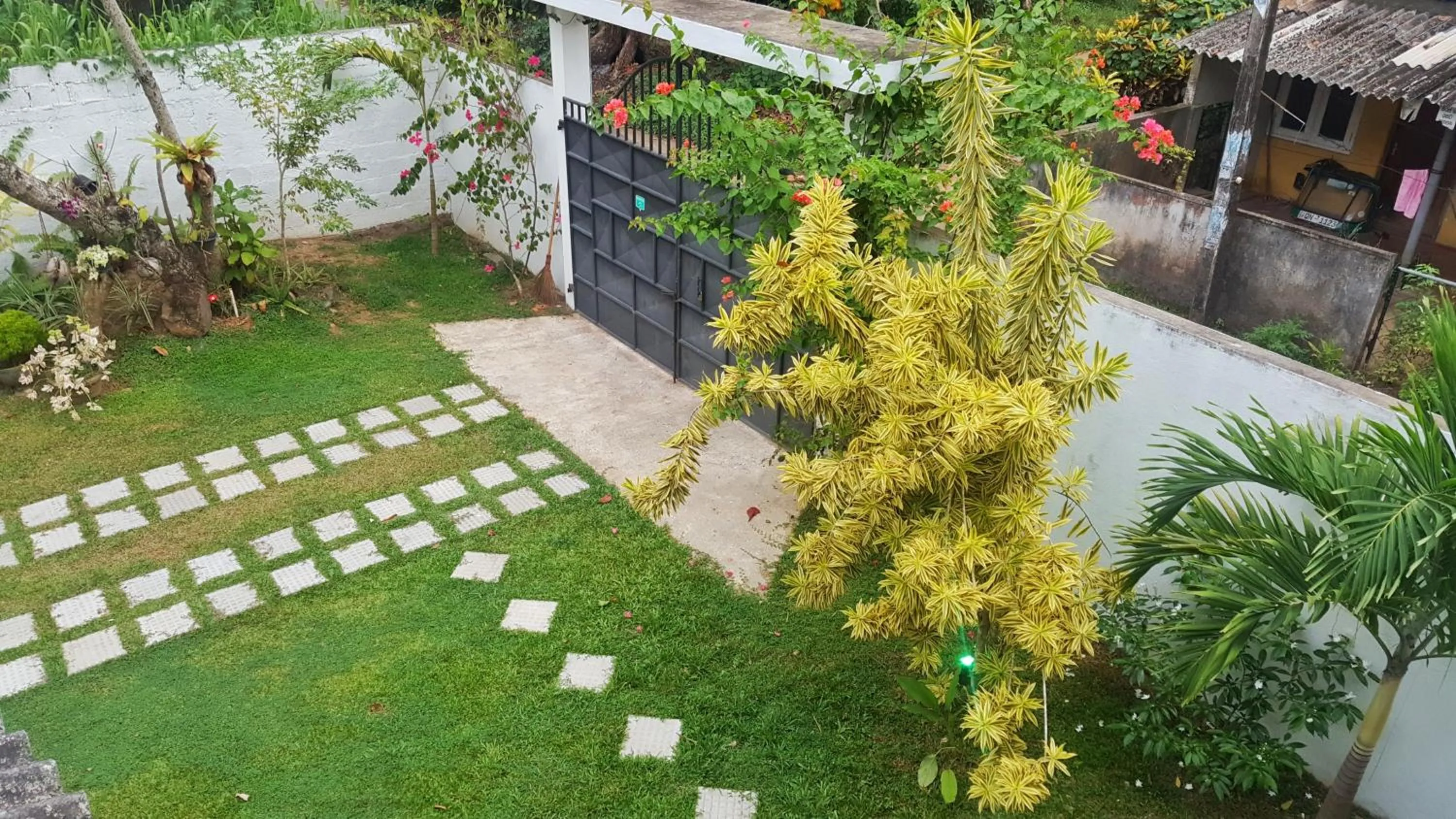 Natural landscape in Villa Happy Home