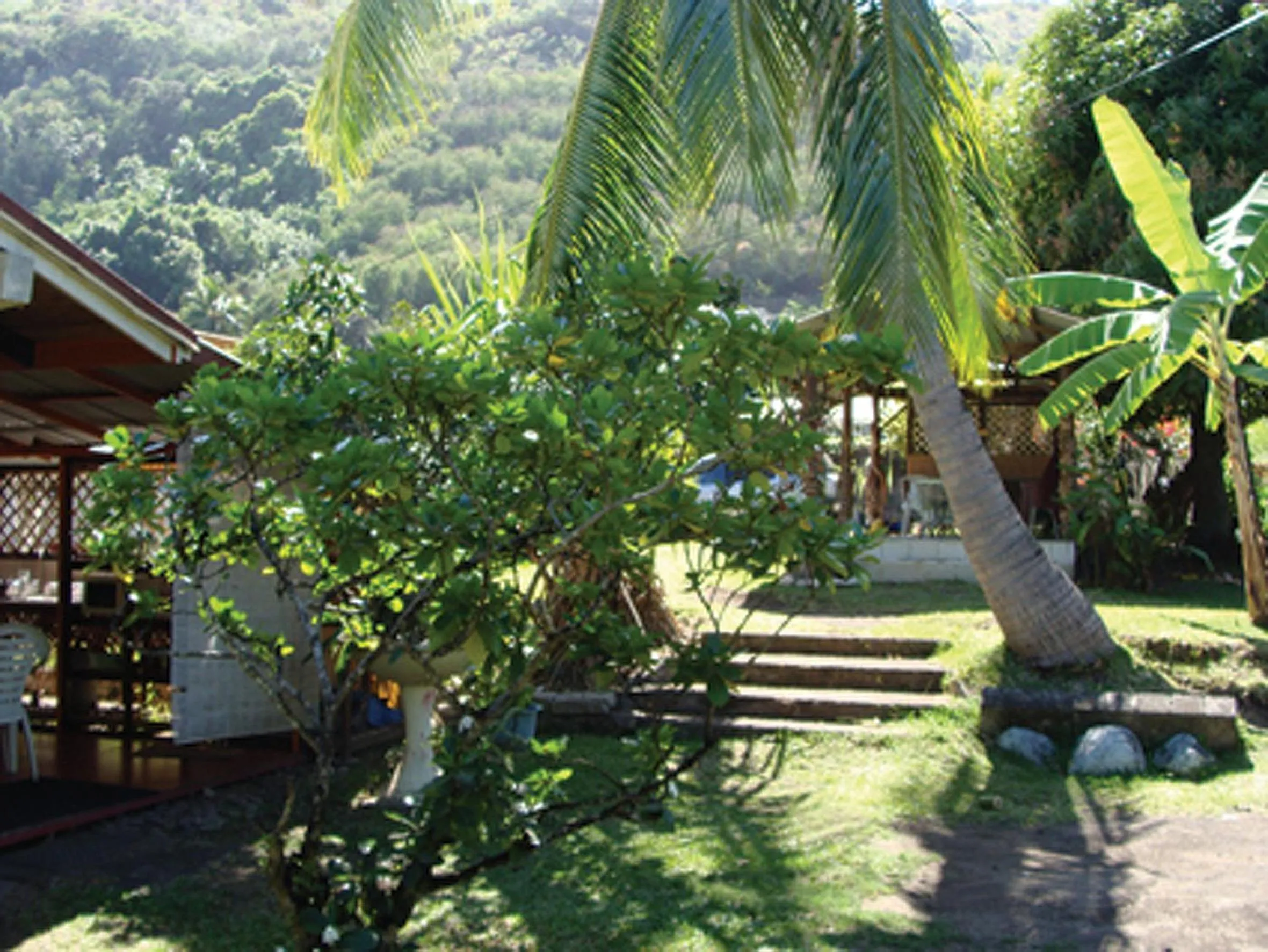 Natural landscape in Pension TE MITI - PLAGE-BEACH 200m - Mahana Parc & Vaiava Beach pk18 - B&B CHAMBRES ou DORTOIR