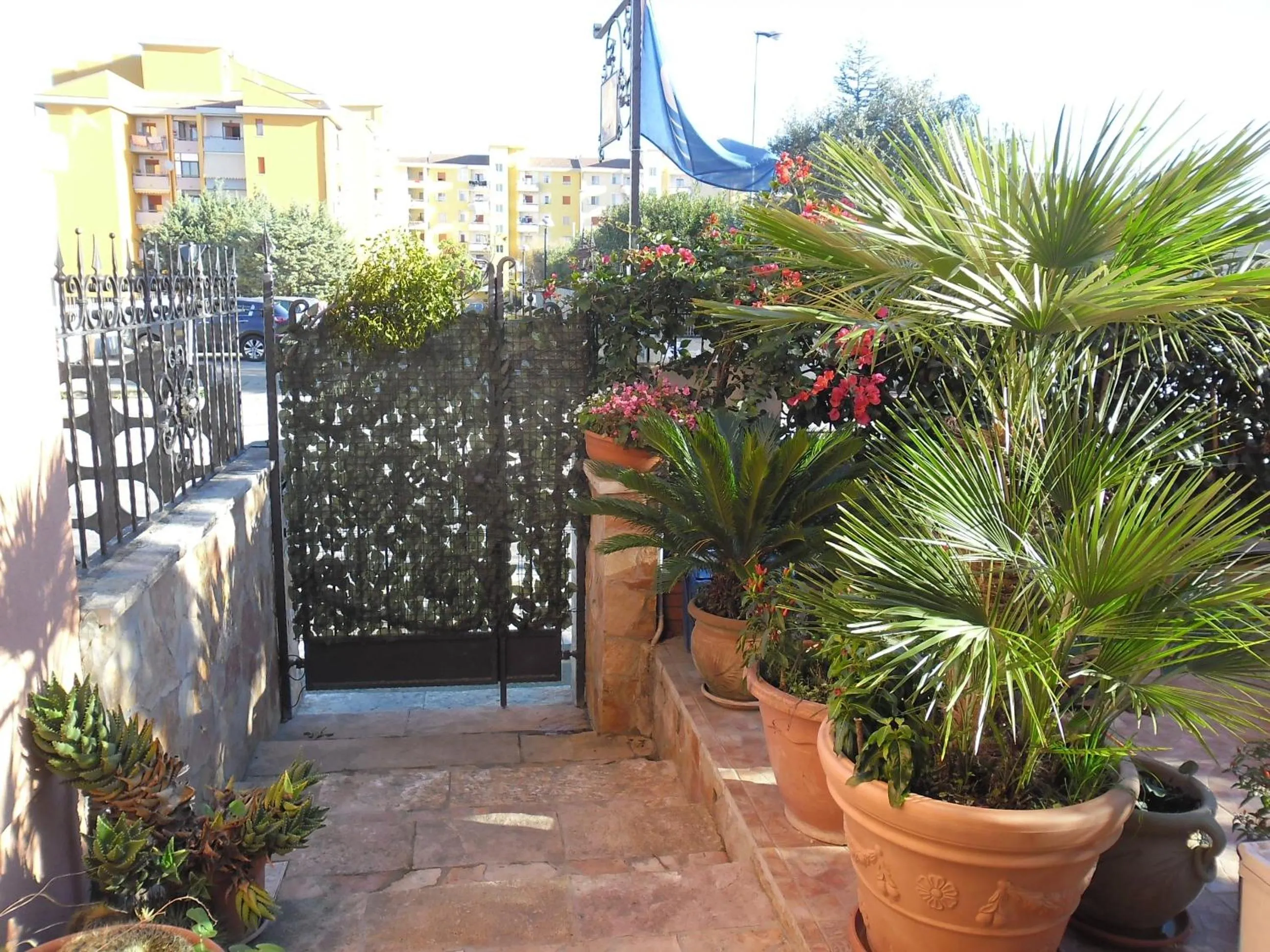 Garden view in Viola di Mare Rooms and Parking