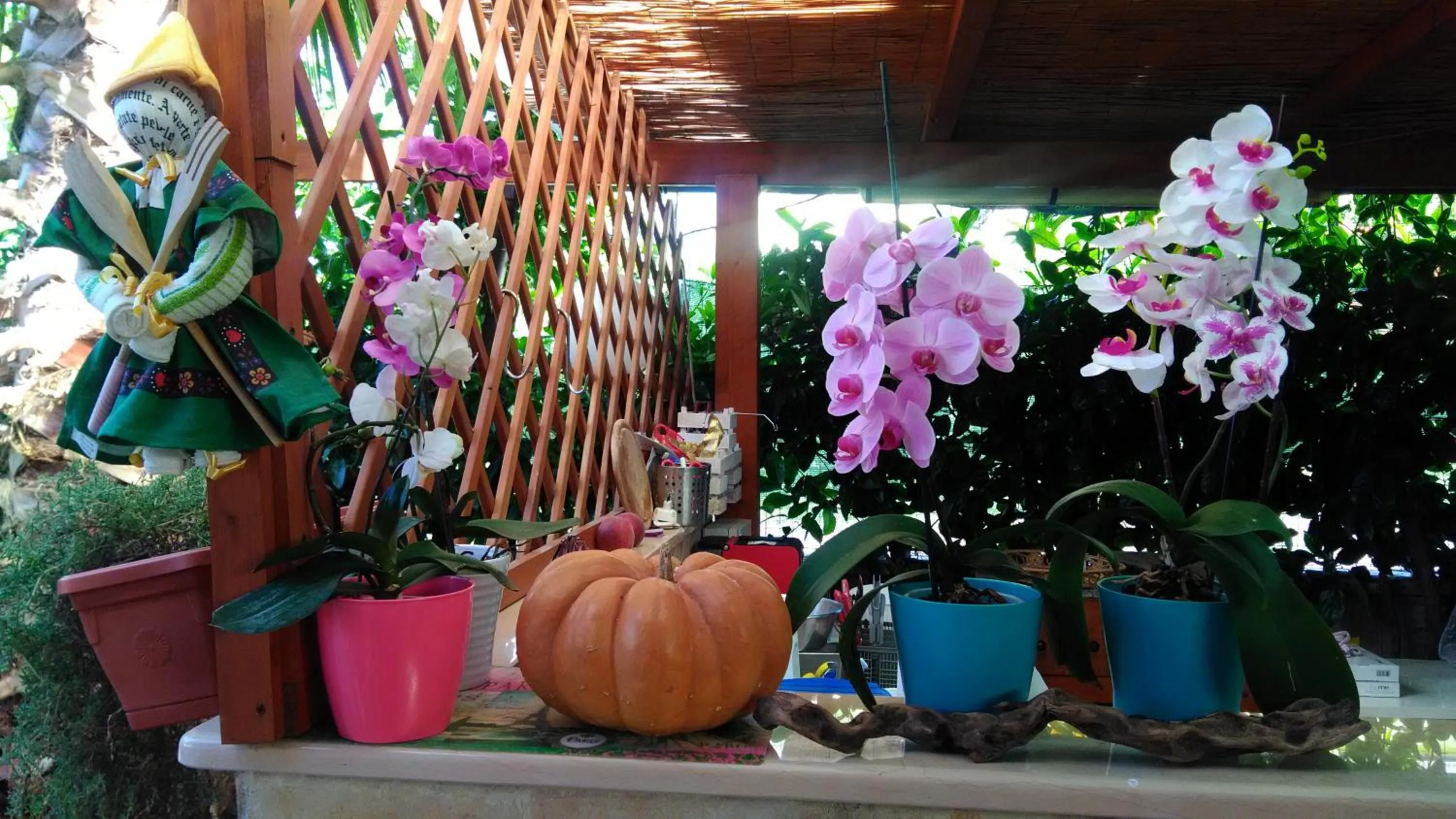 Garden in Viola di Mare Rooms and Parking