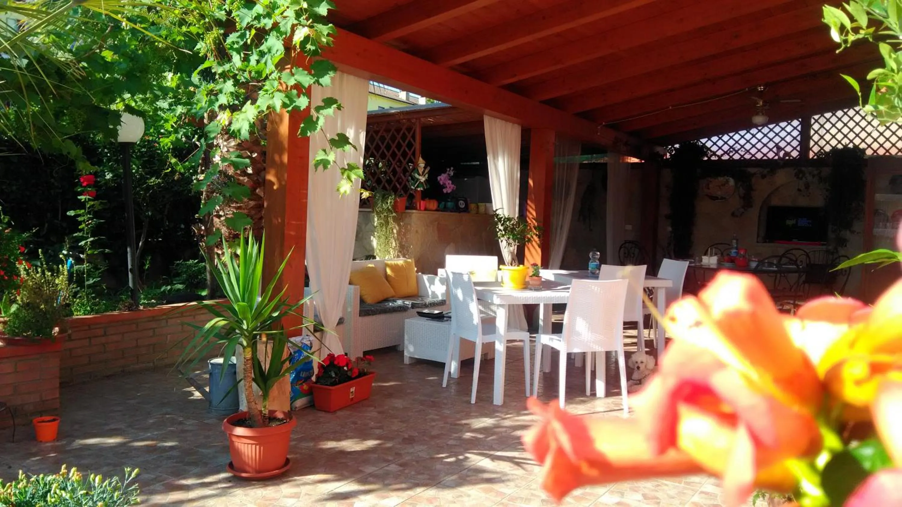 Garden view in Viola di Mare Rooms and Parking