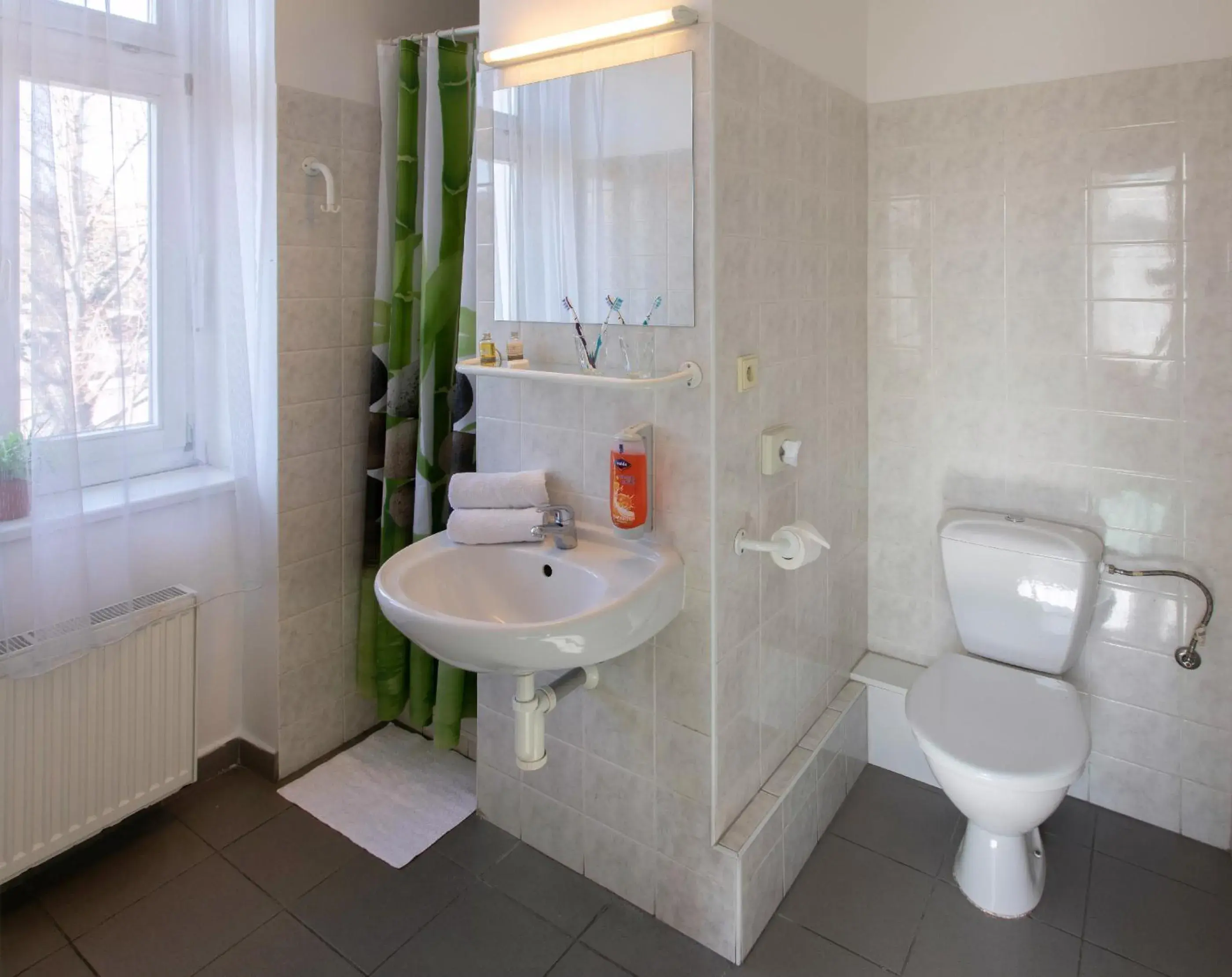 Double Room with Private Bathroom in Masarykova Kolej Double Room with Private Bathroom in Masarykova Kolej