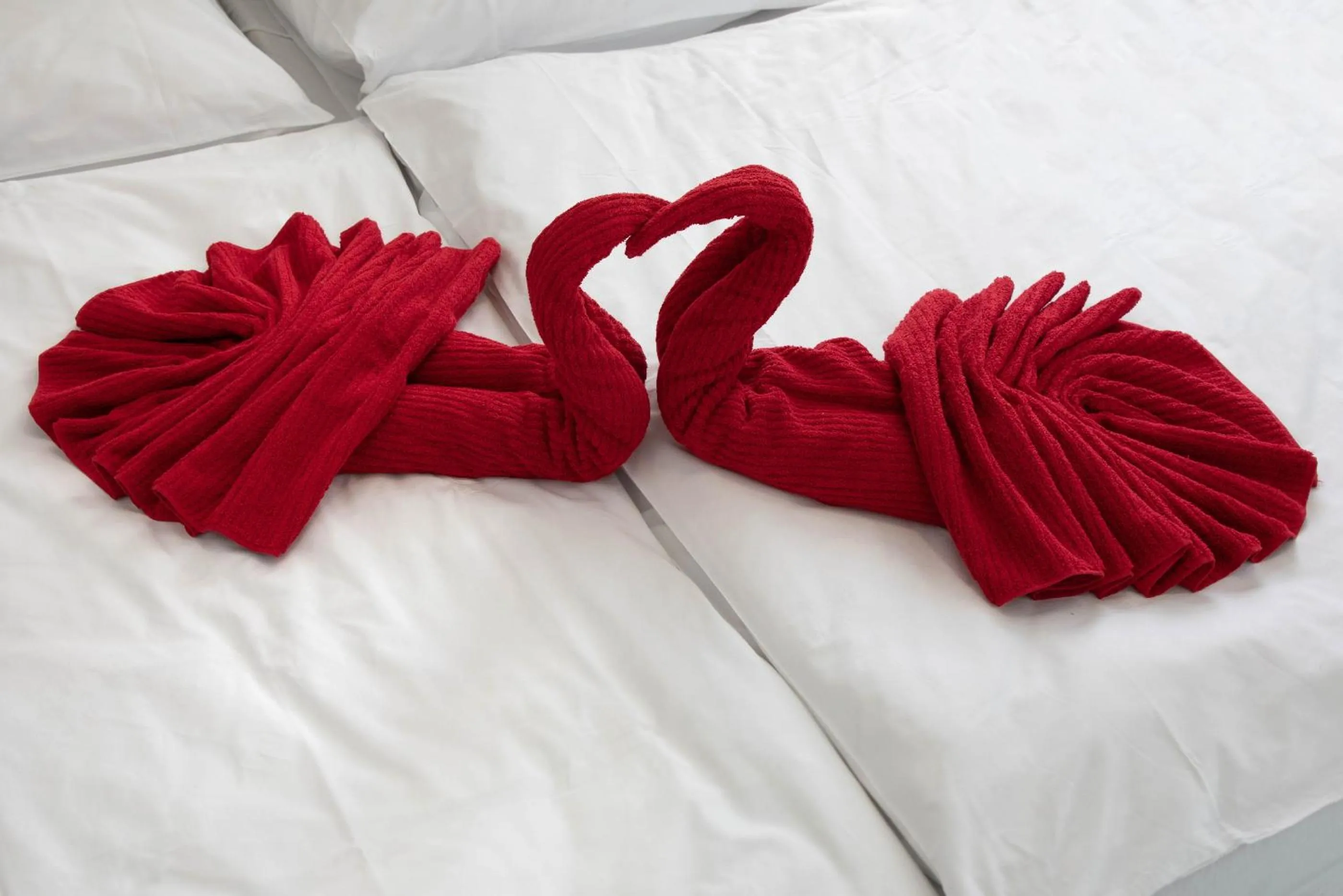 Bed in Masarykova Kolej