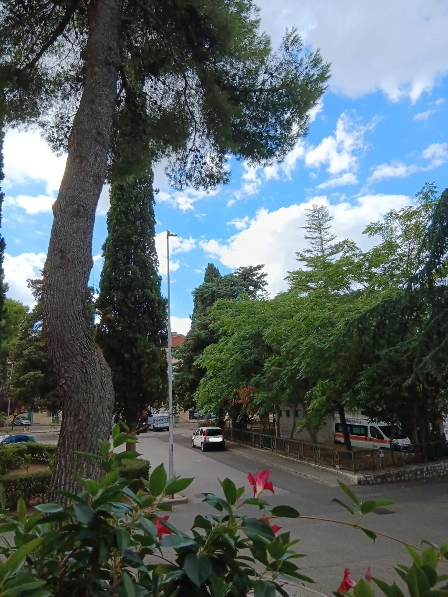 Day in Le Comunicazioni