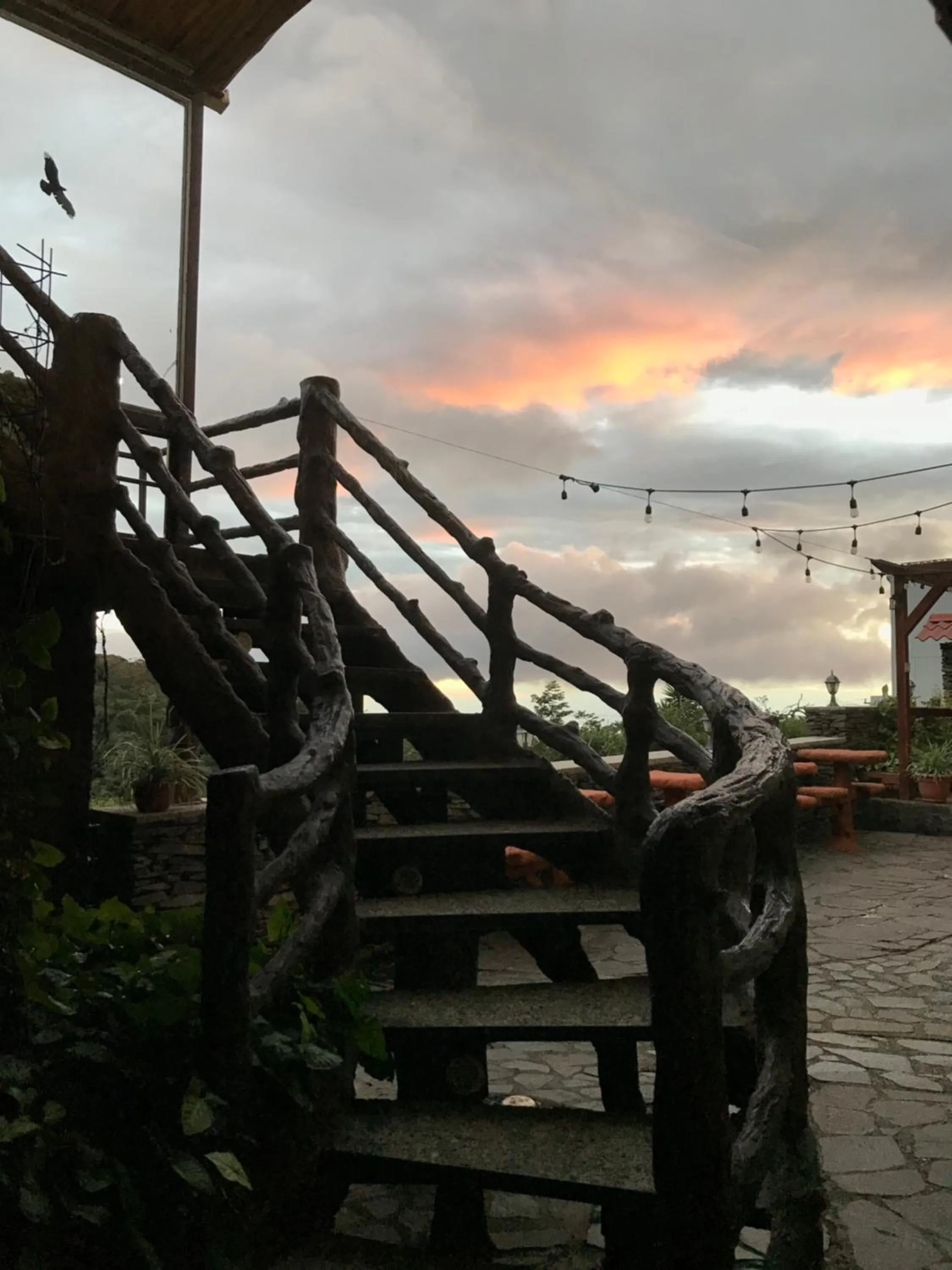 Natural landscape in Cabinas Vista Al Golfo