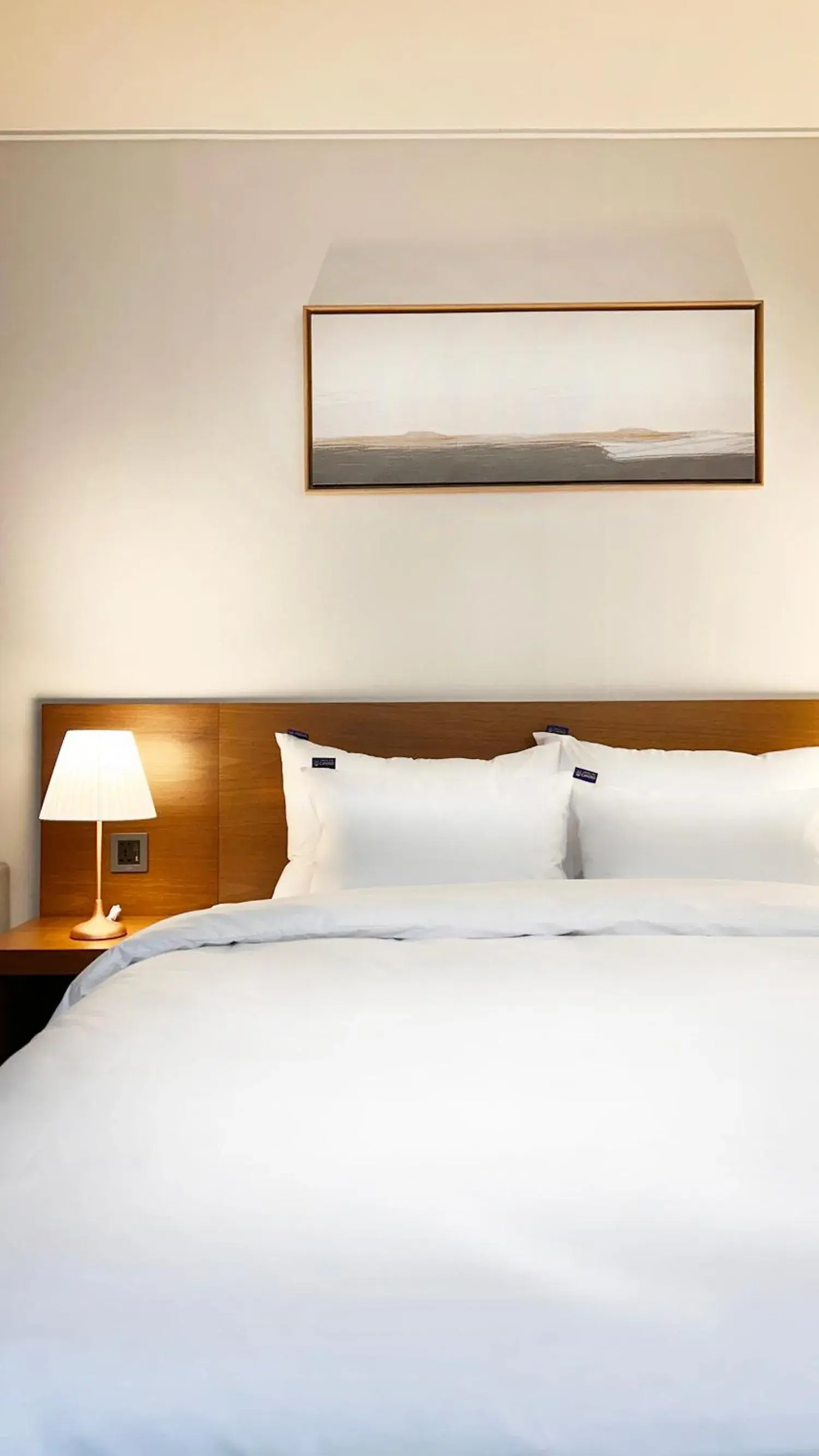 Deluxe Studio in Hostel the Camino Seoul Deluxe Studio in Hostel the Camino Seoul