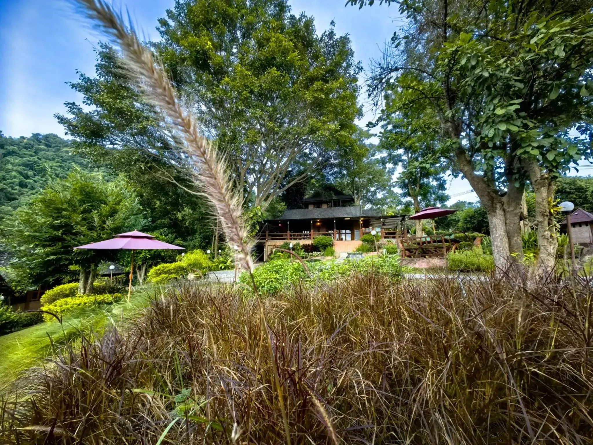 Property building in Insda Wellness Resort Property building in Insda Wellness Resort