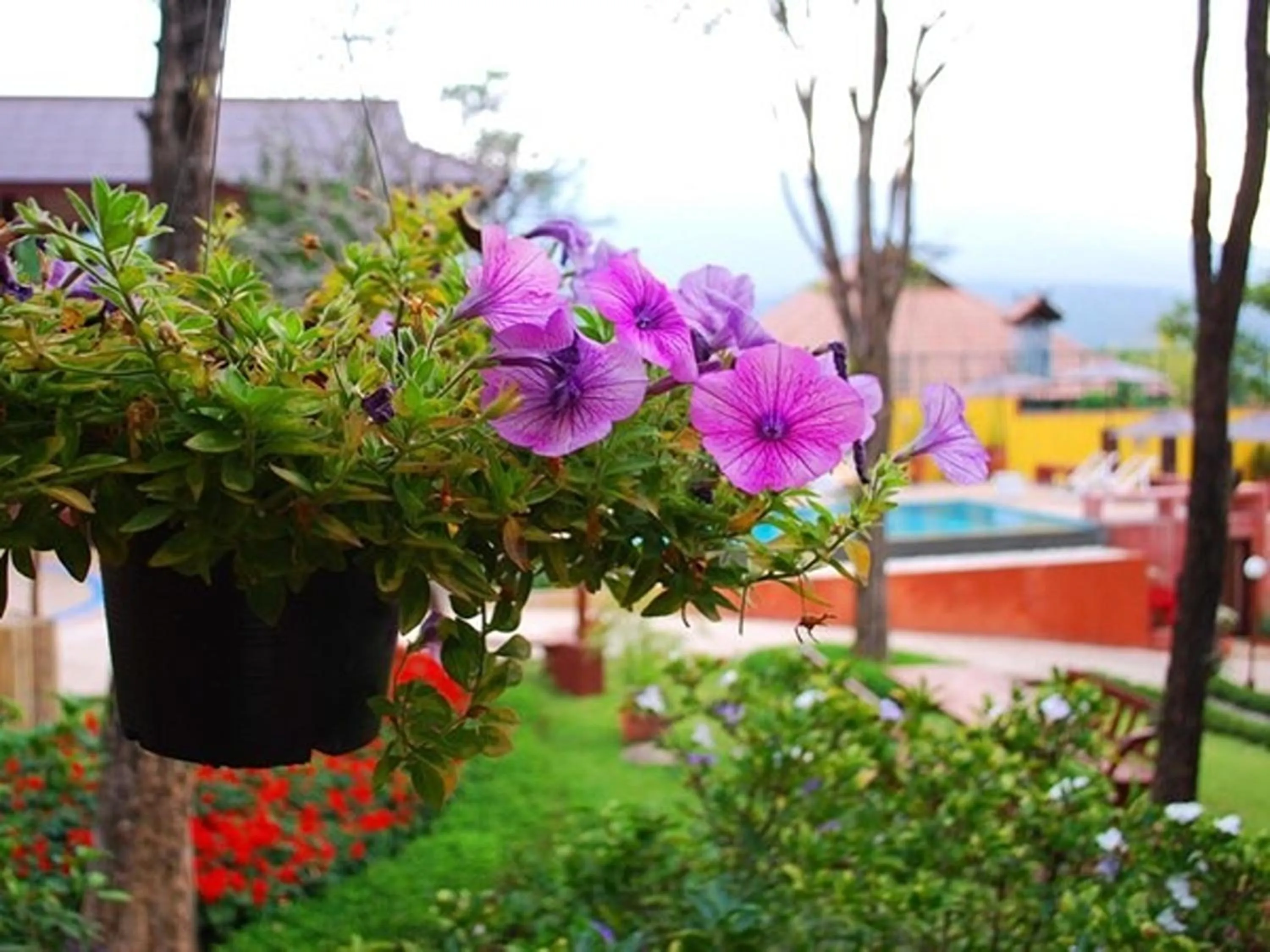 Area and facilities in Insda Wellness Resort