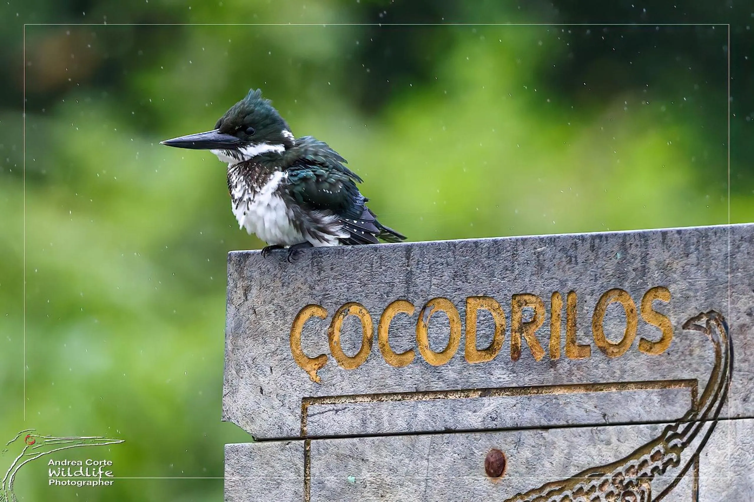 Activities in Hotel de Campo Caño Negro
