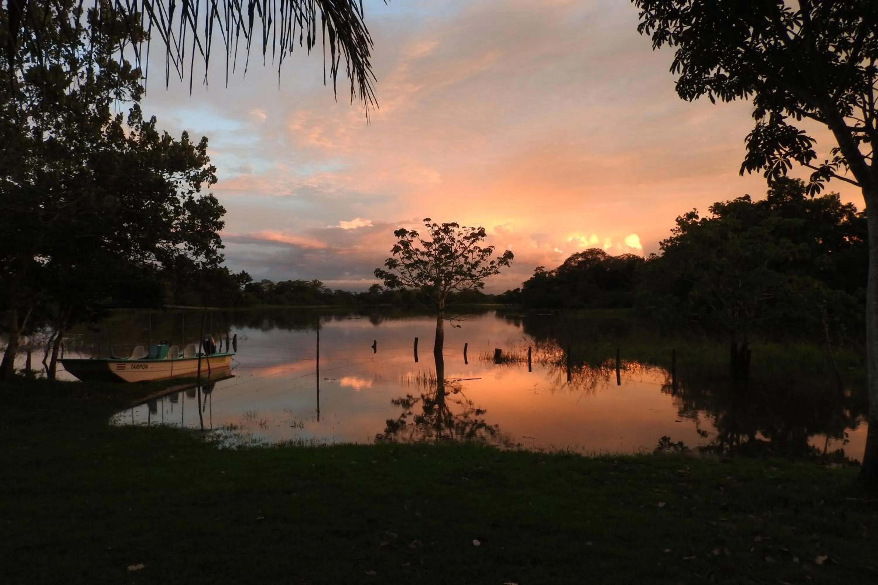 Natural landscape in Hotel de Campo Caño Negro