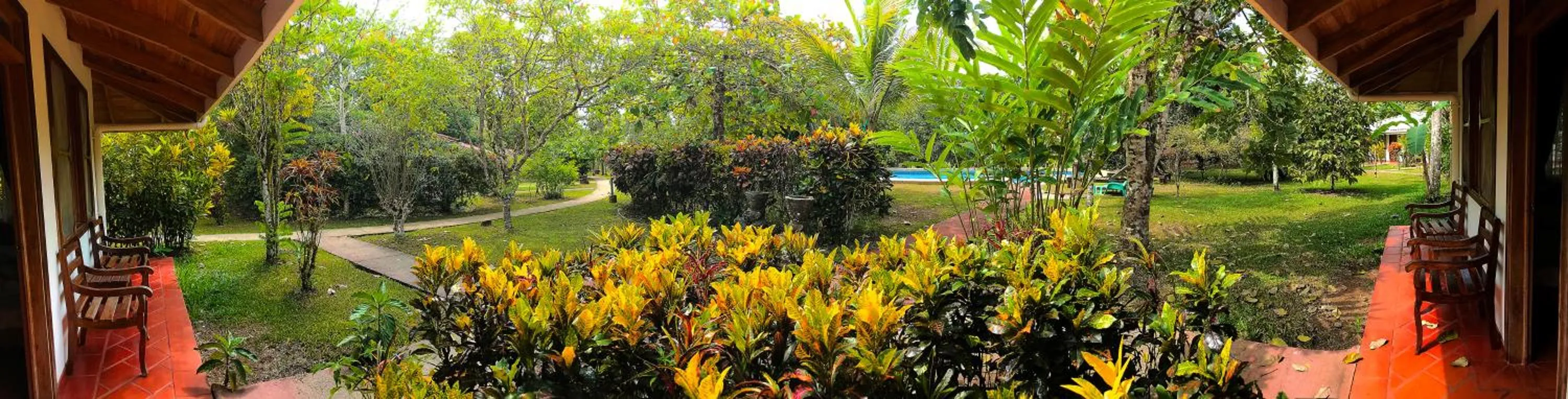 Hiking in Hotel de Campo Caño Negro