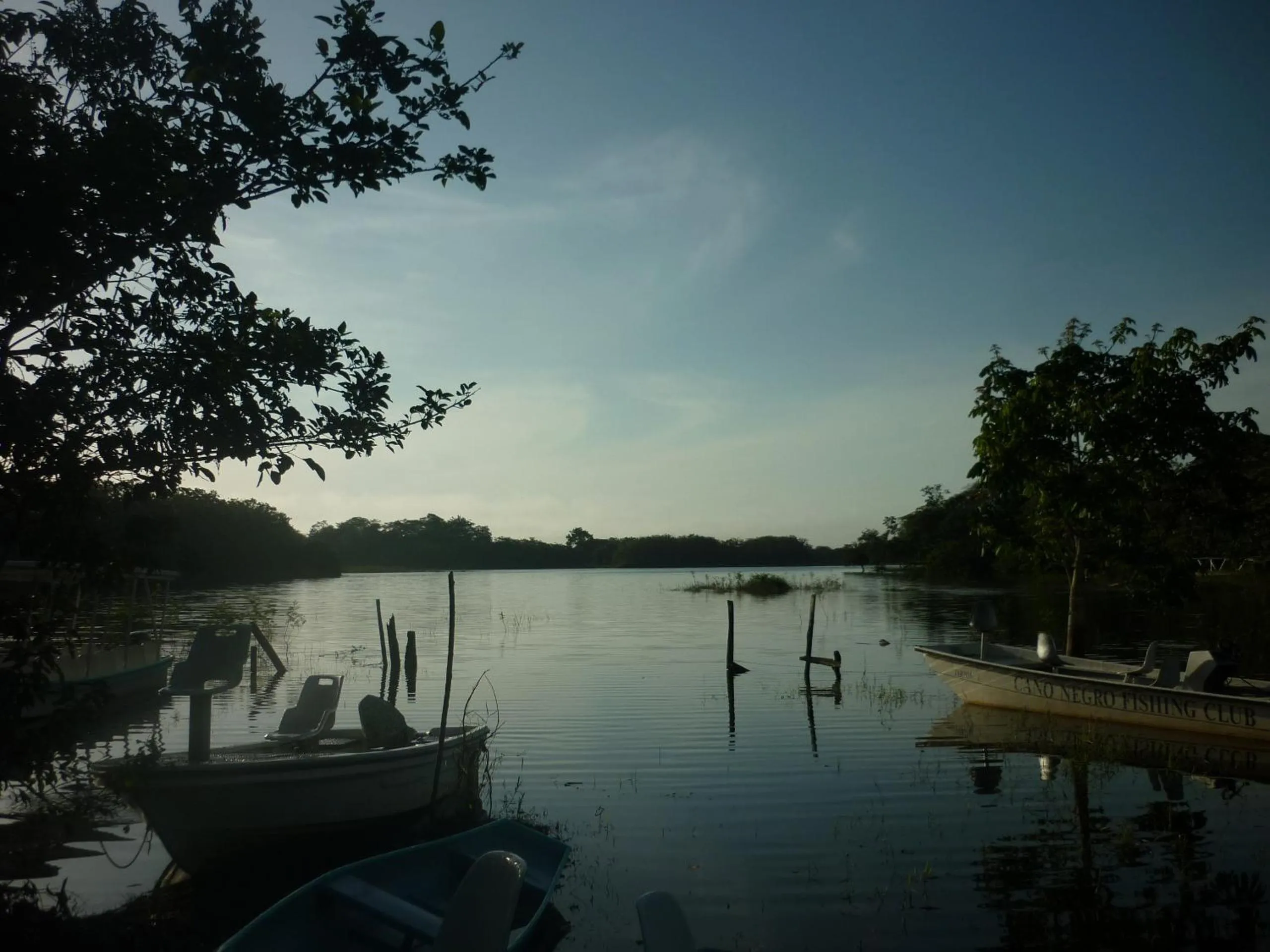 Bird's eye view in Hotel de Campo Caño Negro
