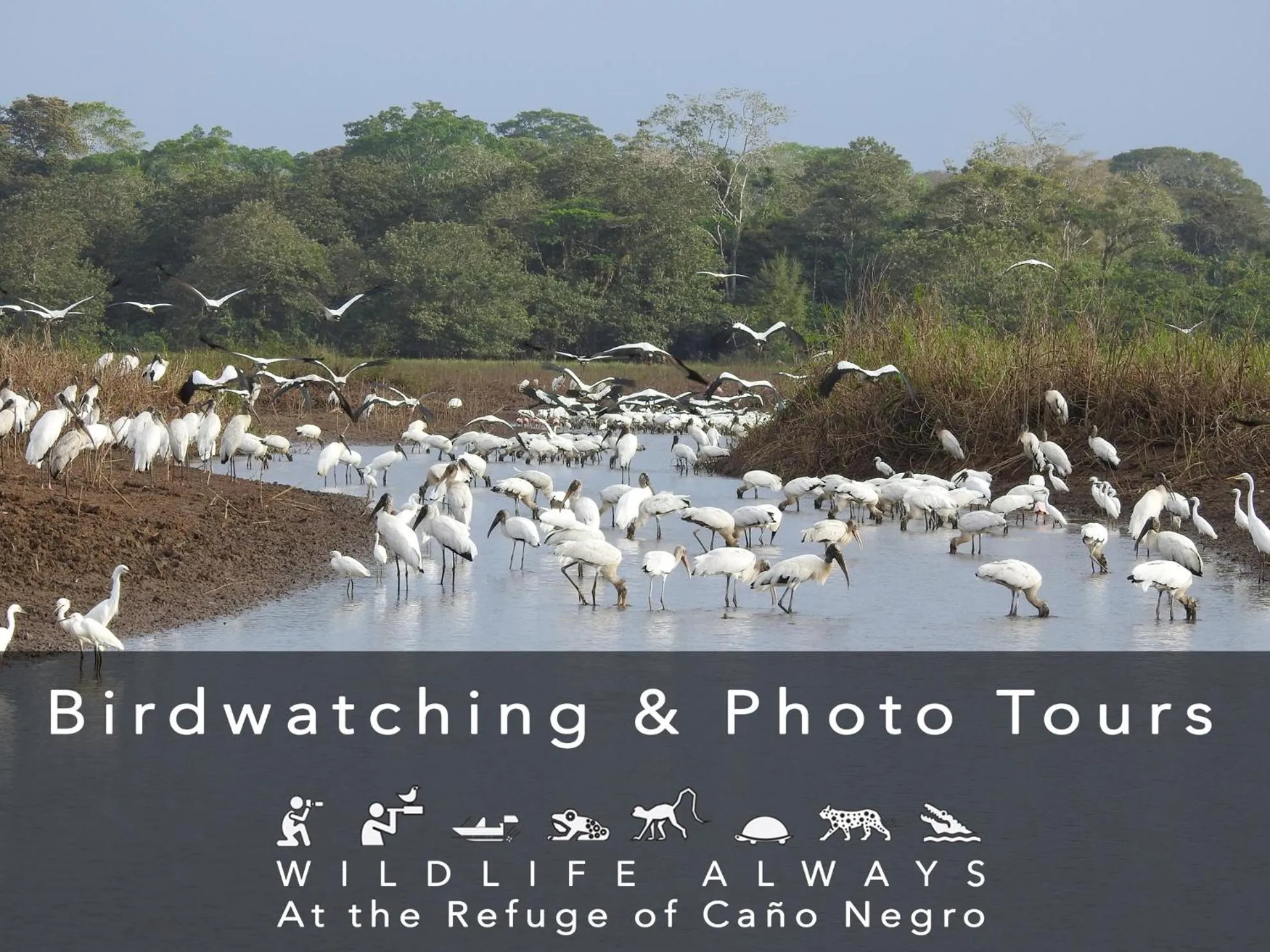 Natural landscape in Hotel de Campo Caño Negro