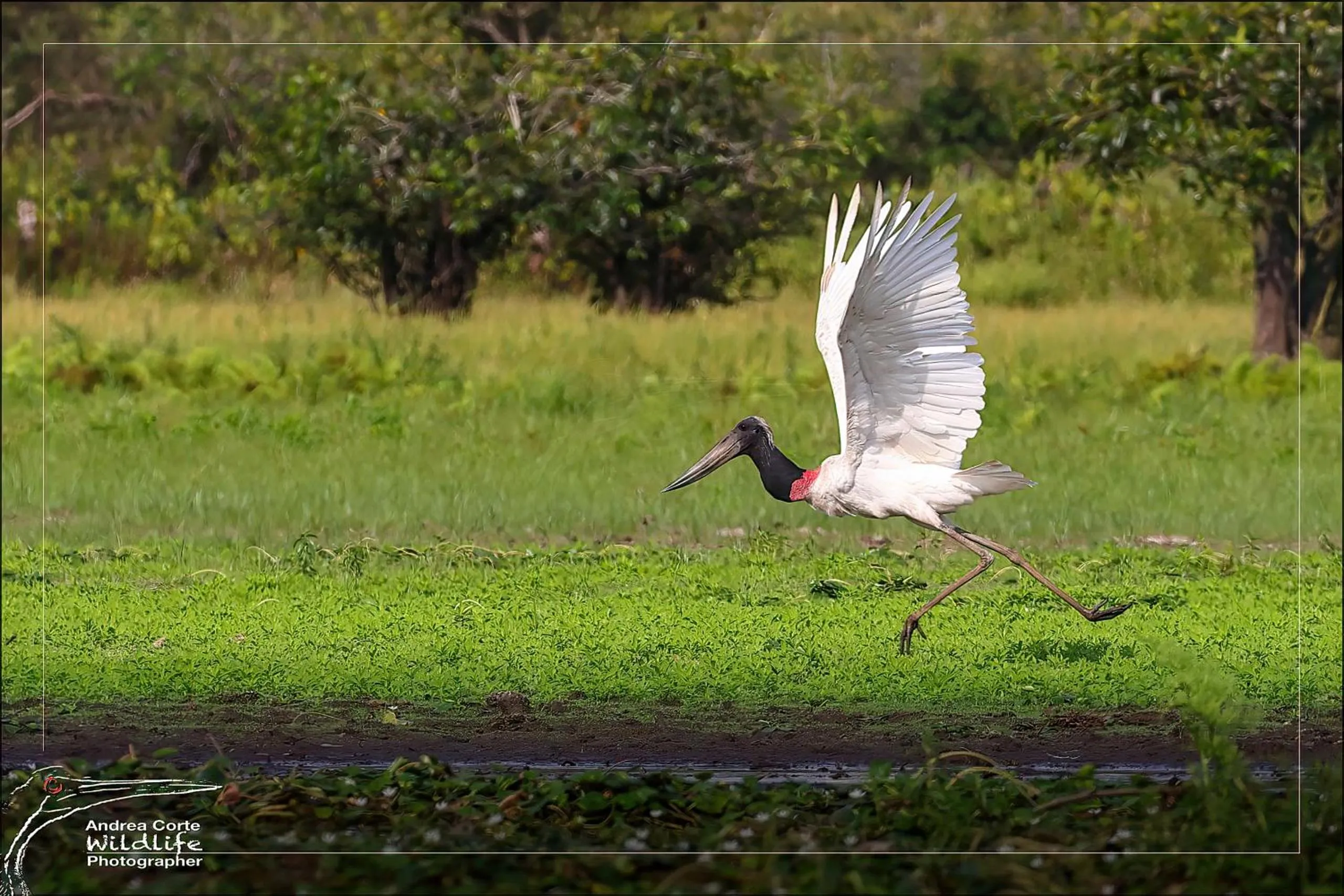 Activities in Hotel de Campo Caño Negro