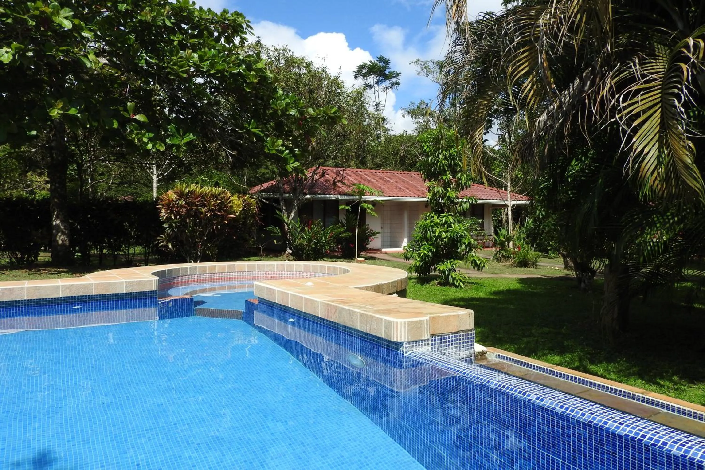 Pool view in Hotel de Campo Caño Negro