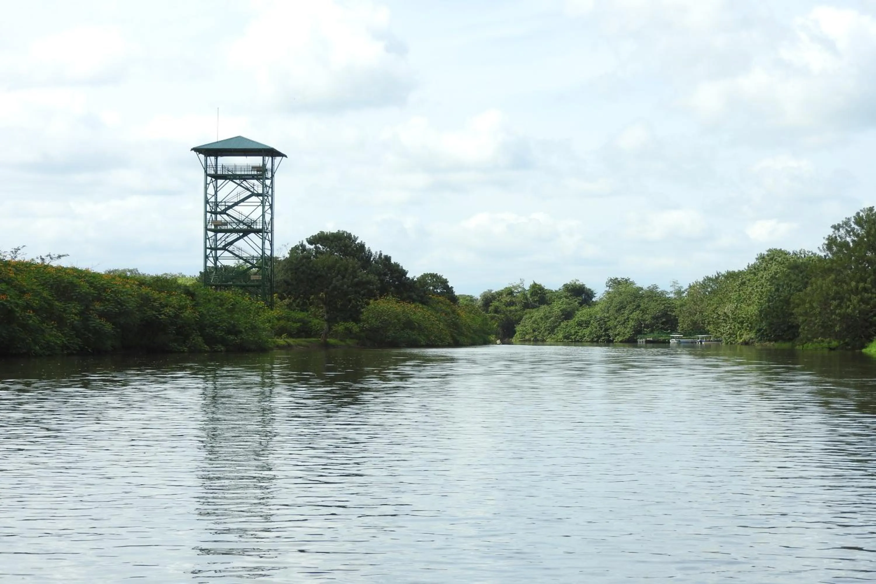 Natural landscape in Hotel de Campo Caño Negro