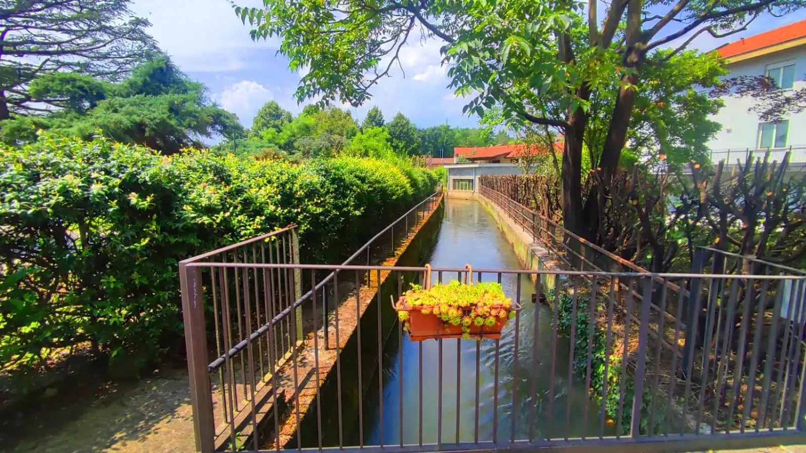 Natural landscape in Phi Hotel Homy Druento