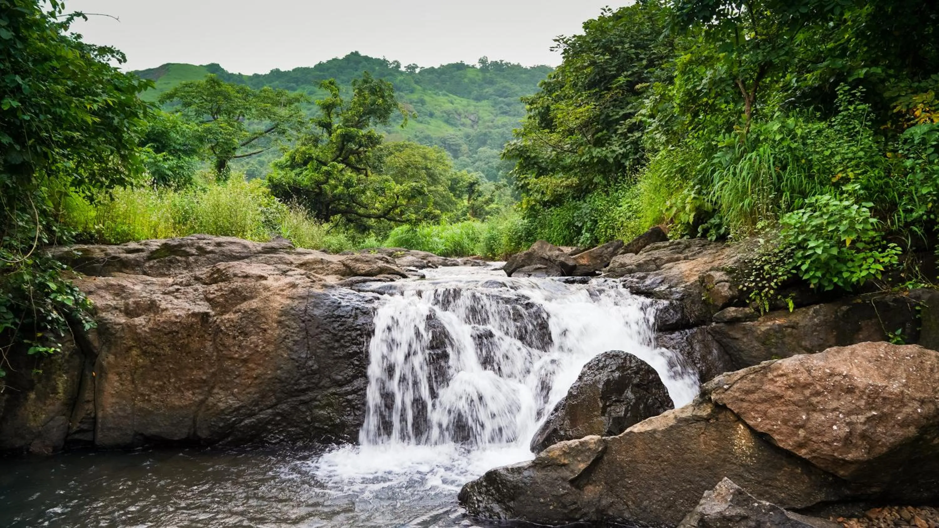 River view in Whispering Peepul Resort