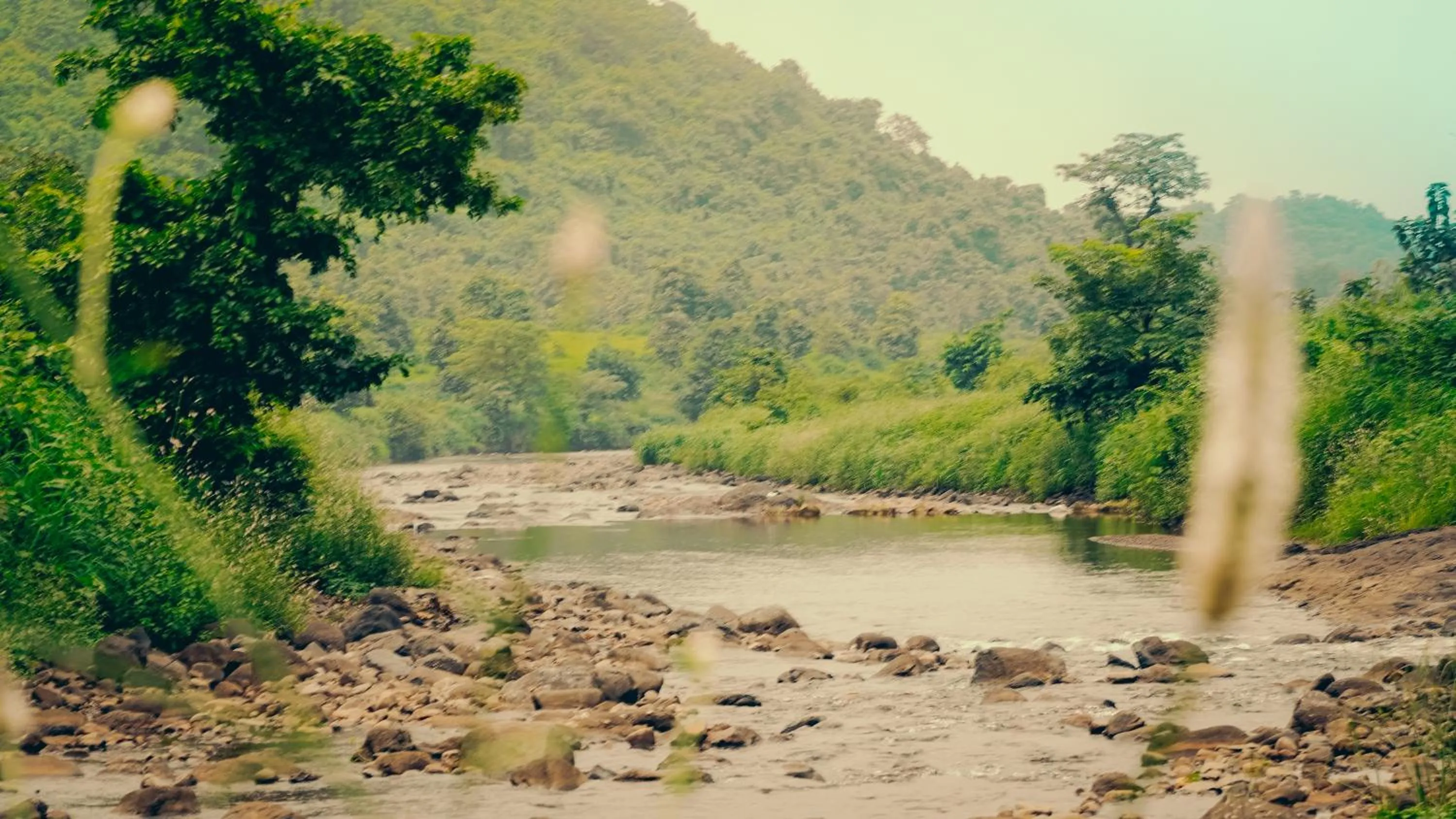 Natural landscape in Whispering Peepul Resort