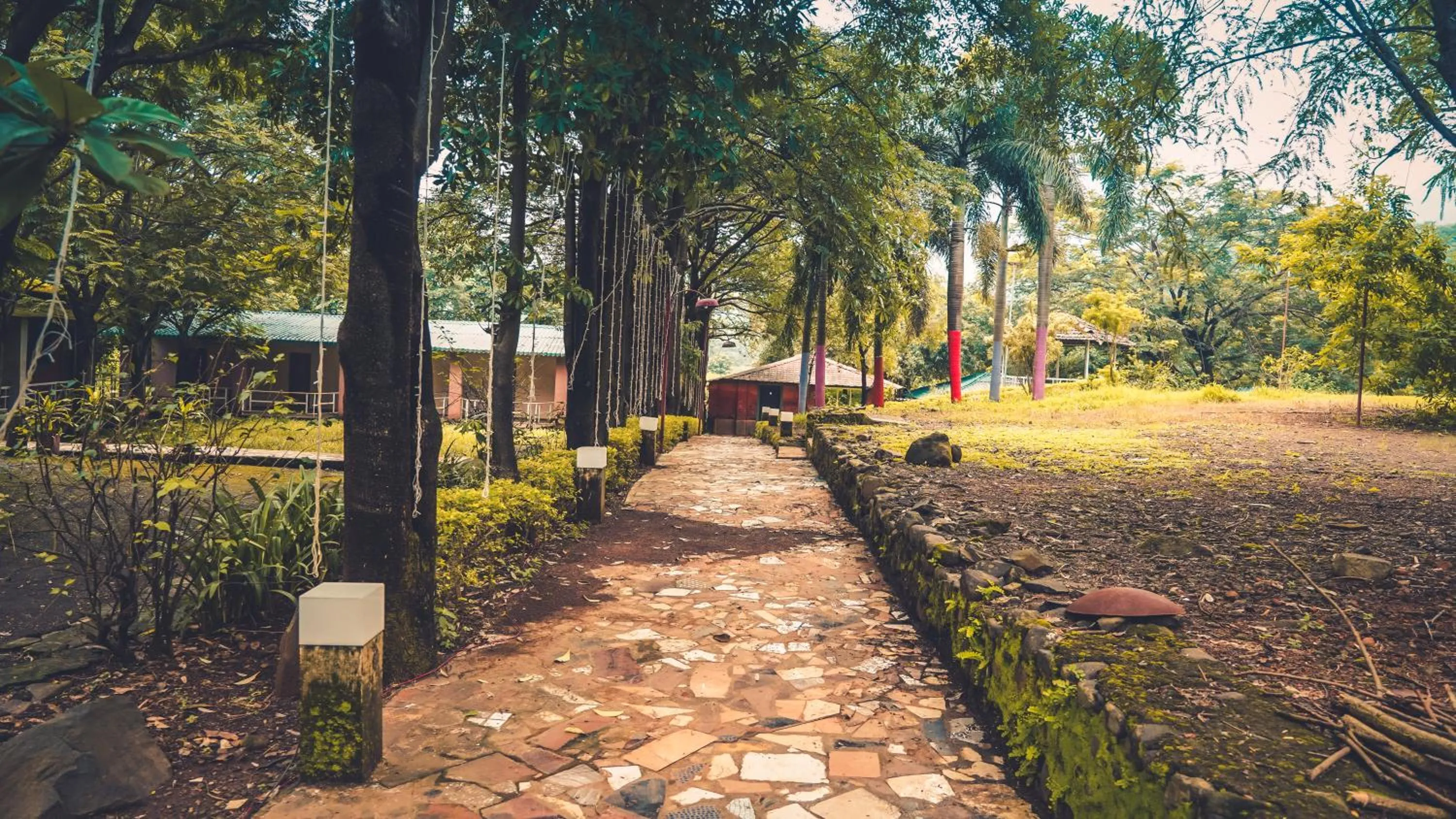 Garden view in Whispering Peepul Resort