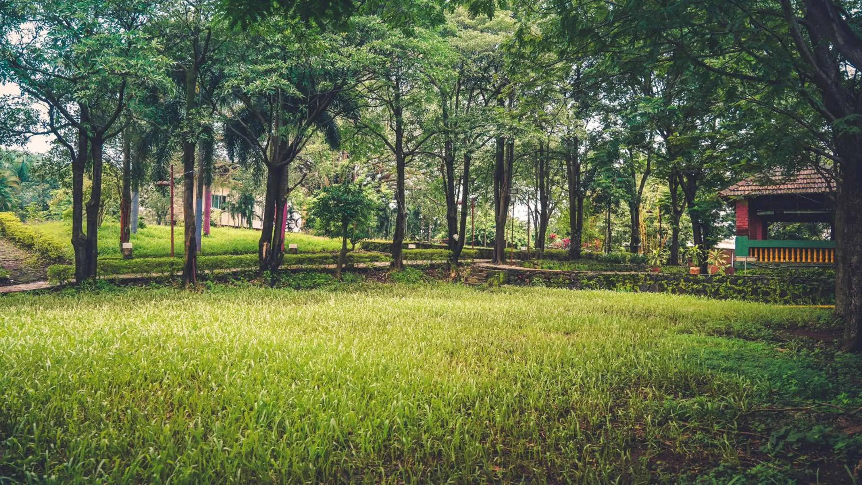 Day in Whispering Peepul Resort