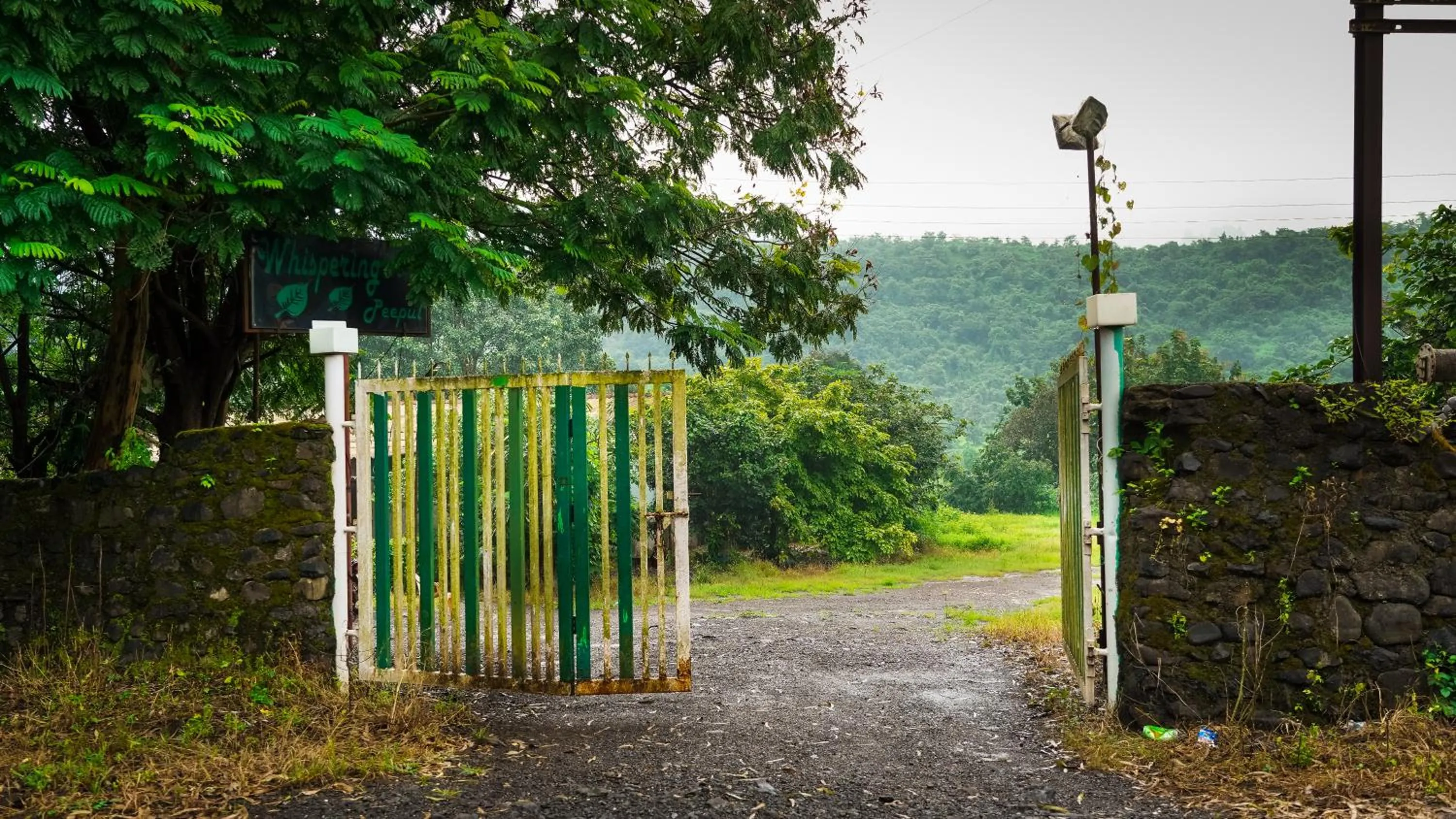 Natural landscape in Whispering Peepul Resort